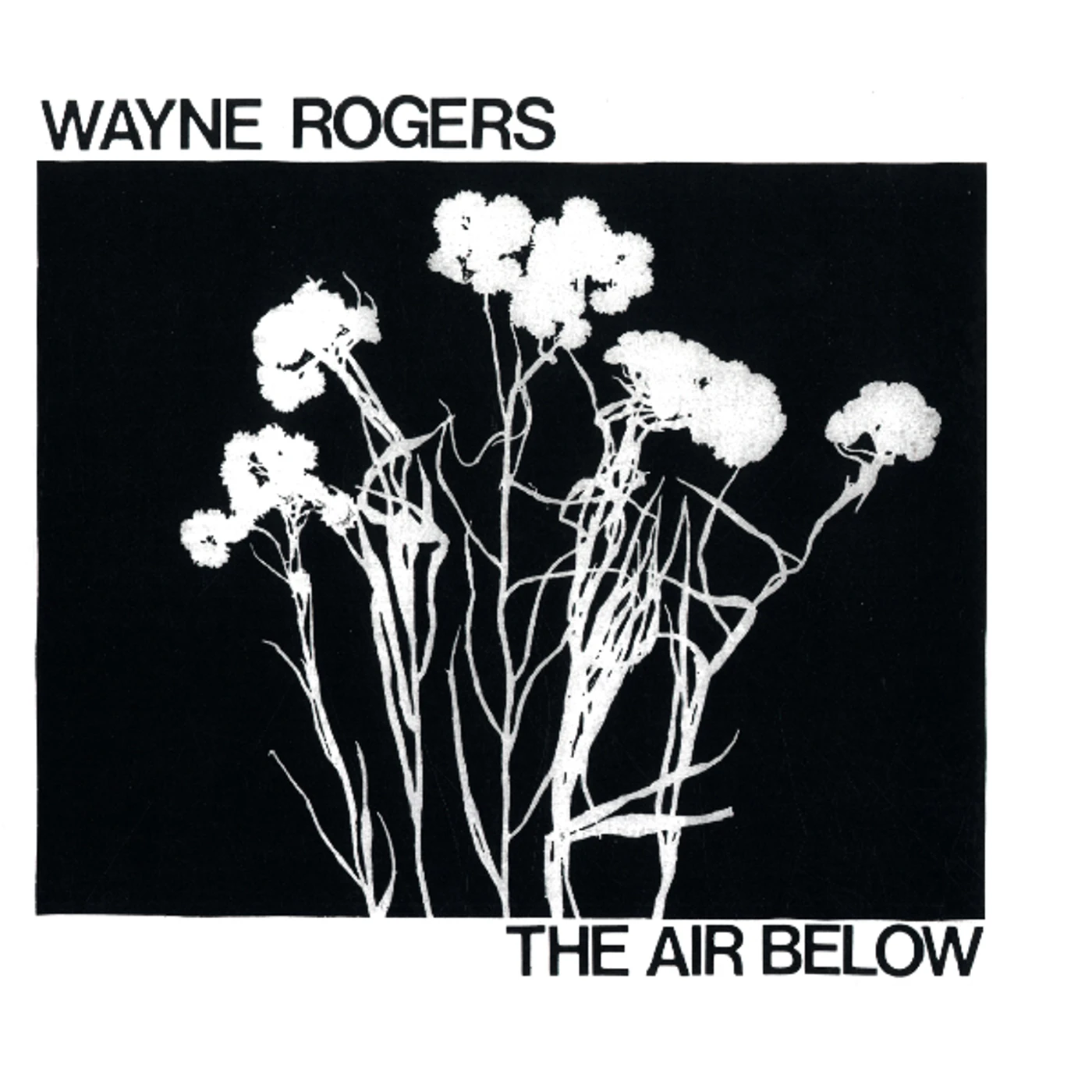Wayne Rogers AIR BELOW Vinyl Record