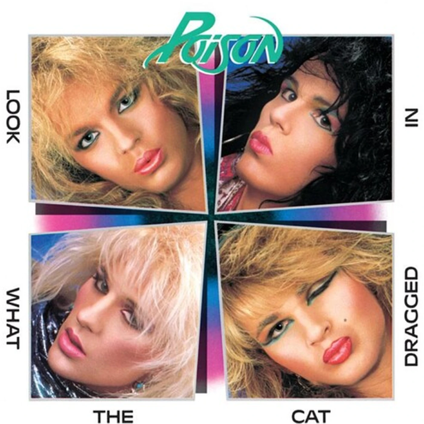 Poison Look What The Cat Dragged In Vinyl Record