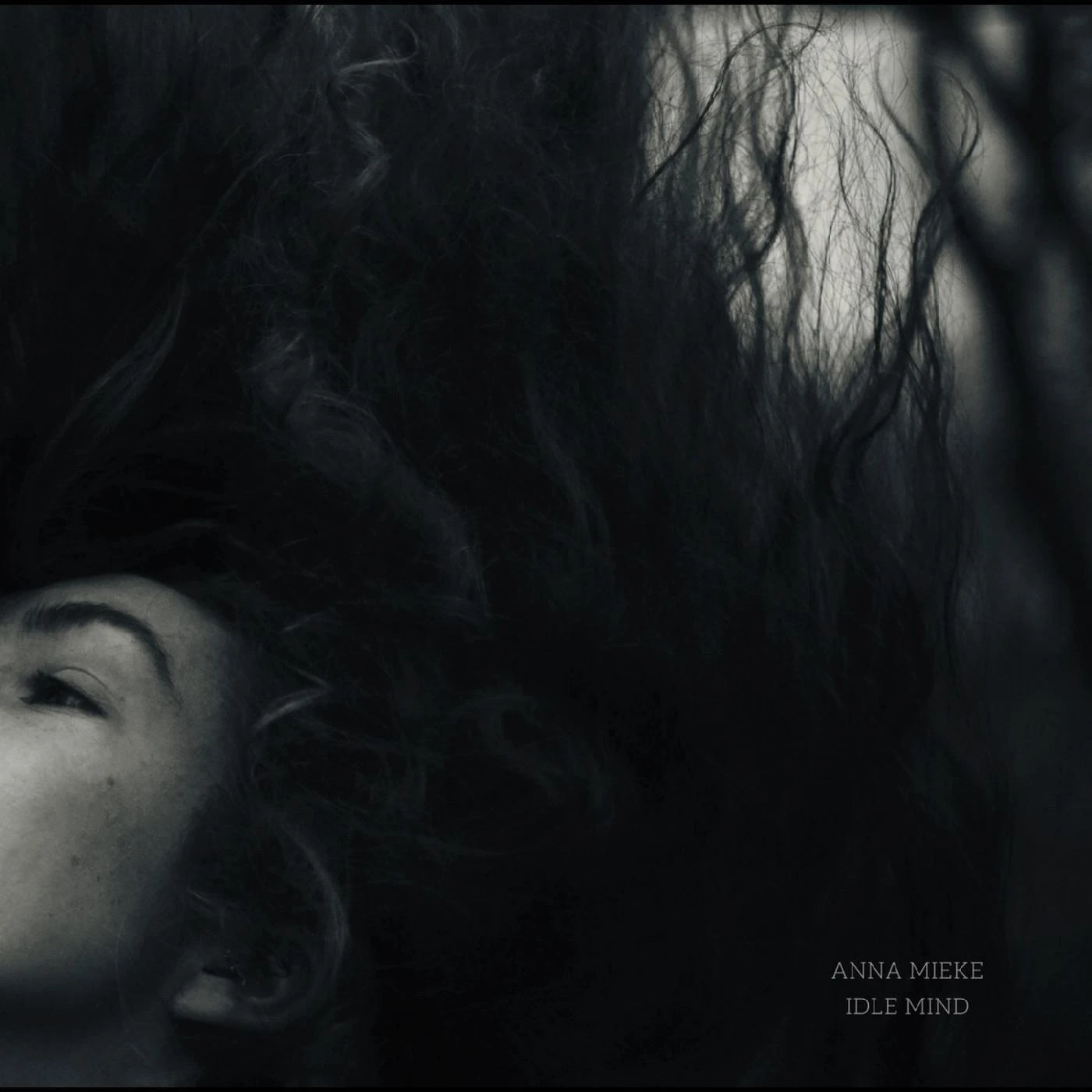 Anna Mieke IDLE MIND CD