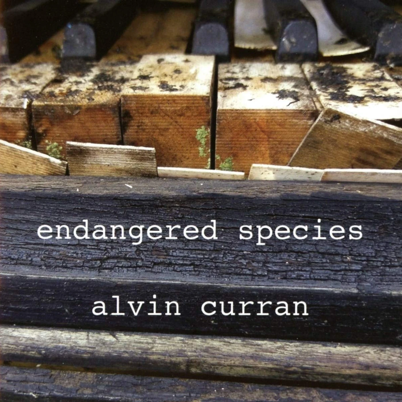 Hawk ENDANGERED SPECIES CD