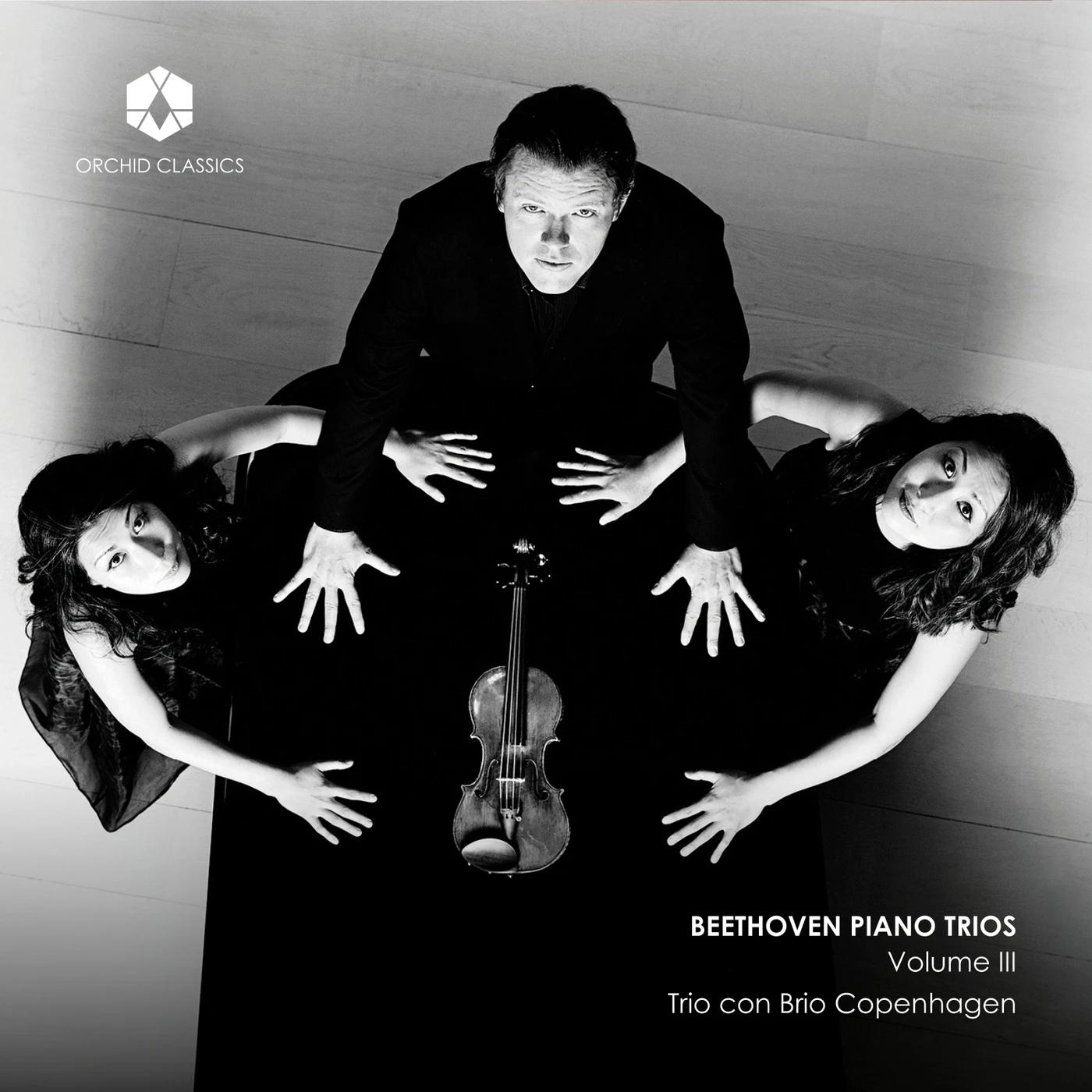 Trio con Brio Copenhagen BEETHOVEN: PIANO TRIOS, VOL. 3 CD