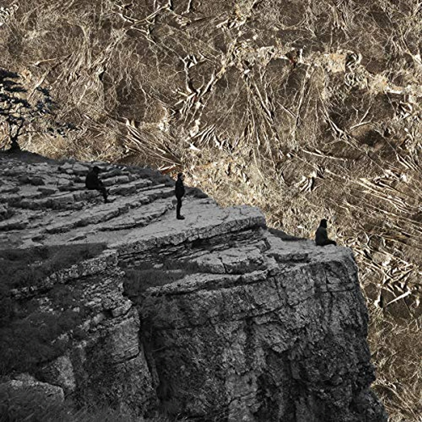 Esben and the Witch Nowhere Vinyl Record