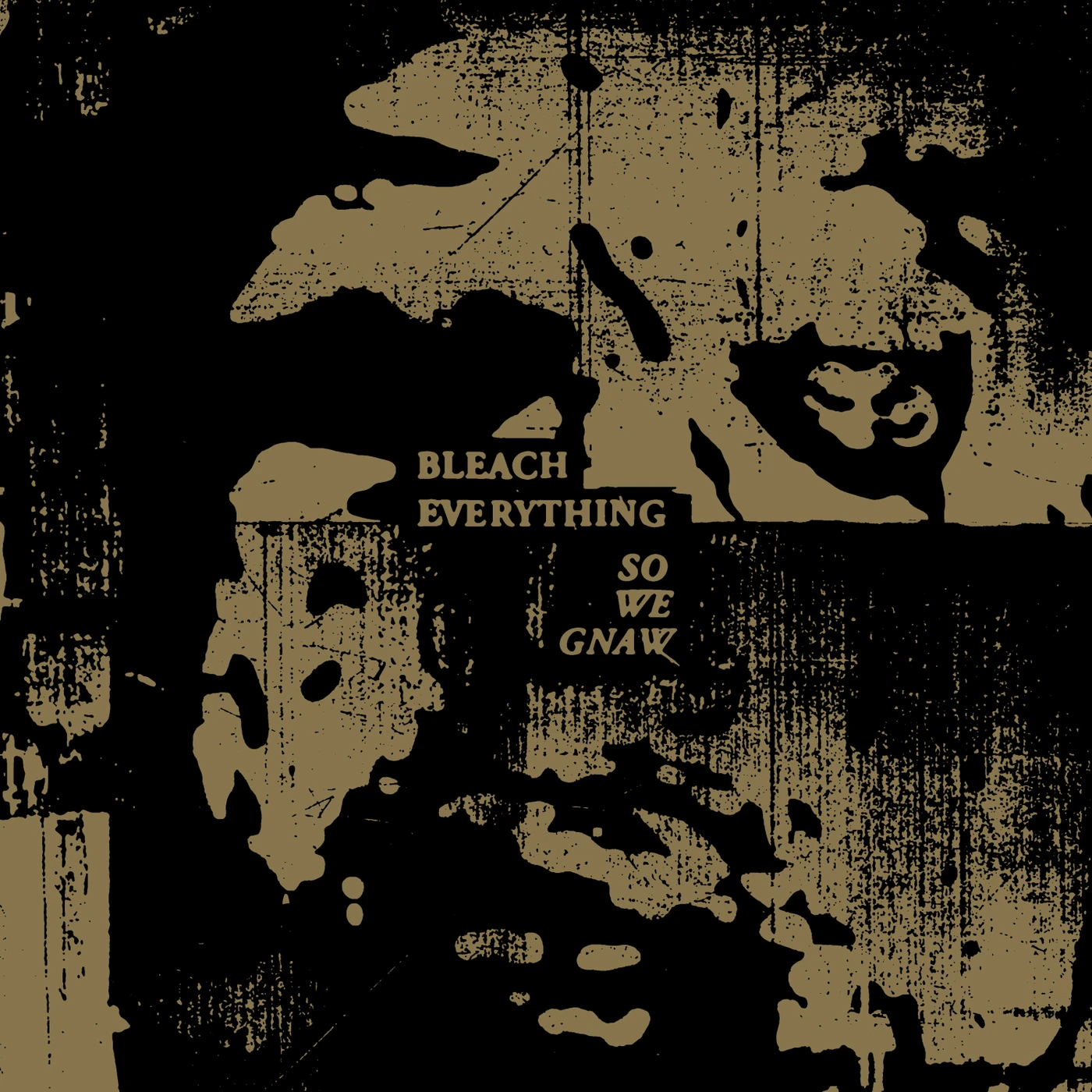 Bleach Everything So We Gnaw Vinyl Record