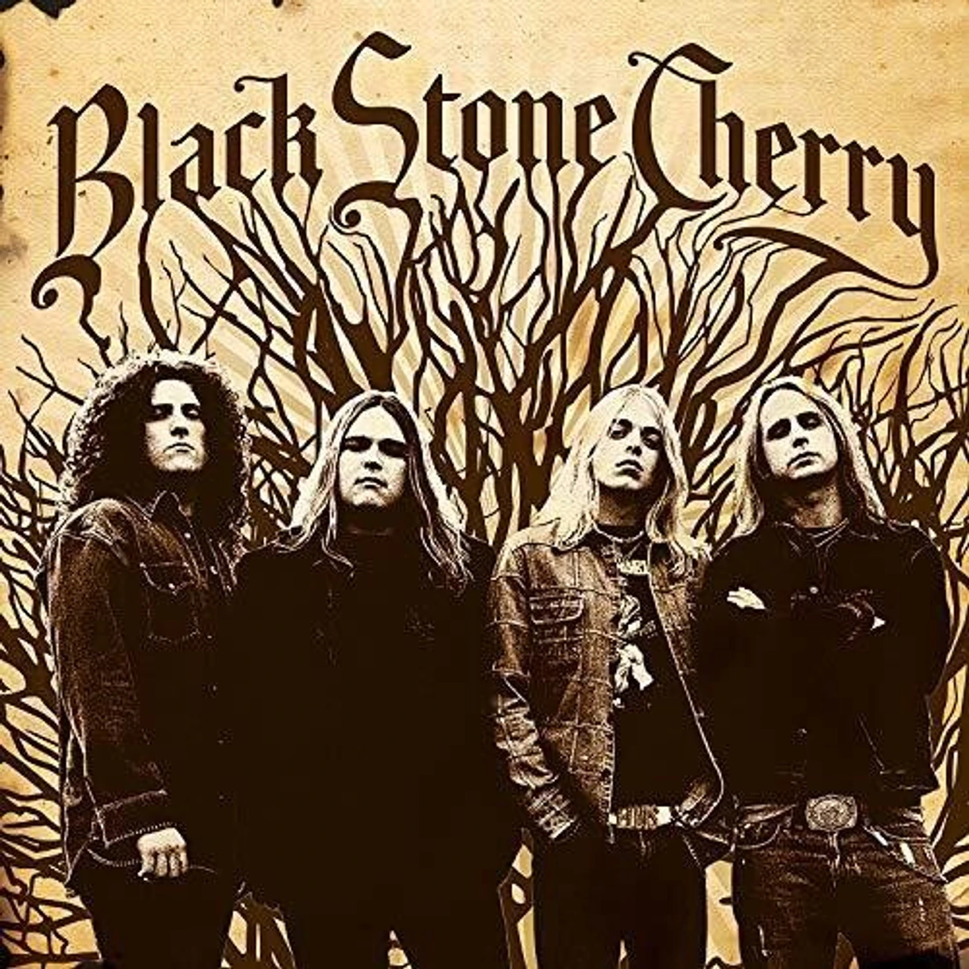 Black Stone Cherry Vinyl Record