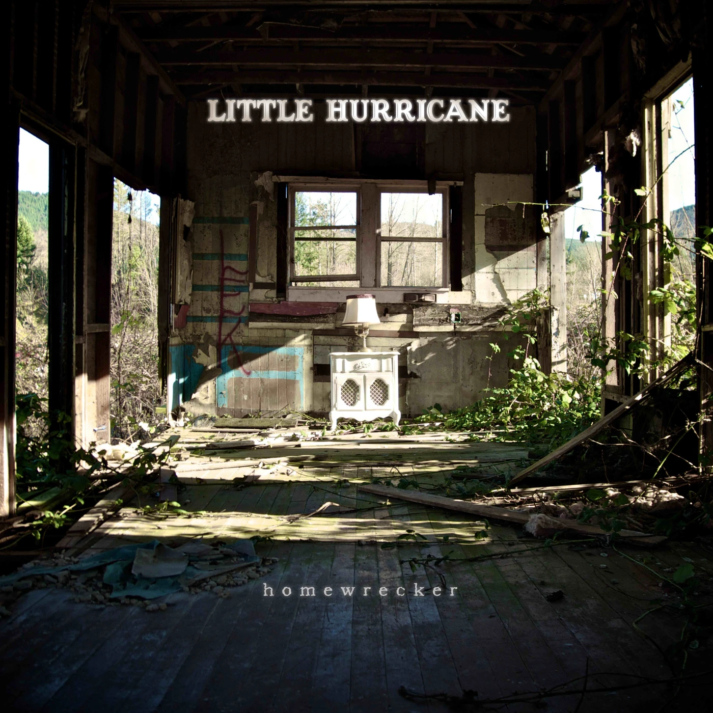 little hurricane Homewrecker Vinyl Record