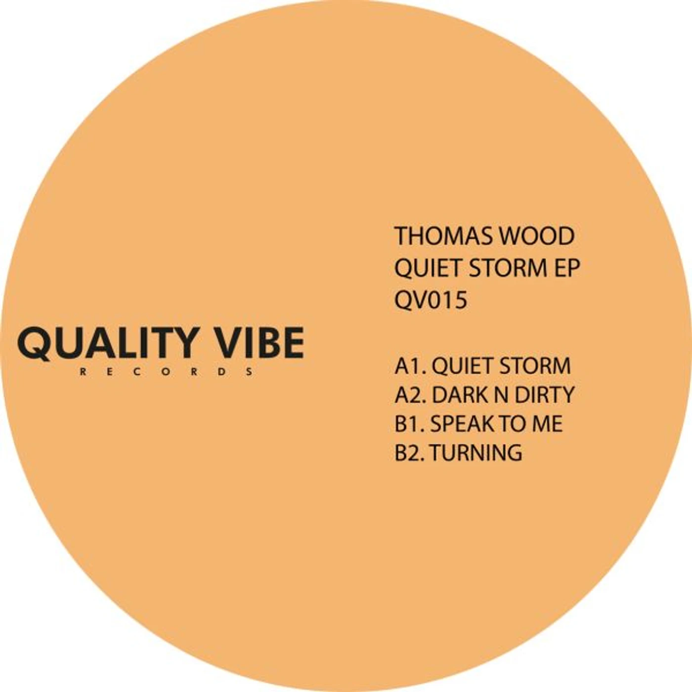 Thomas Wood QUIET STORM Vinyl Record