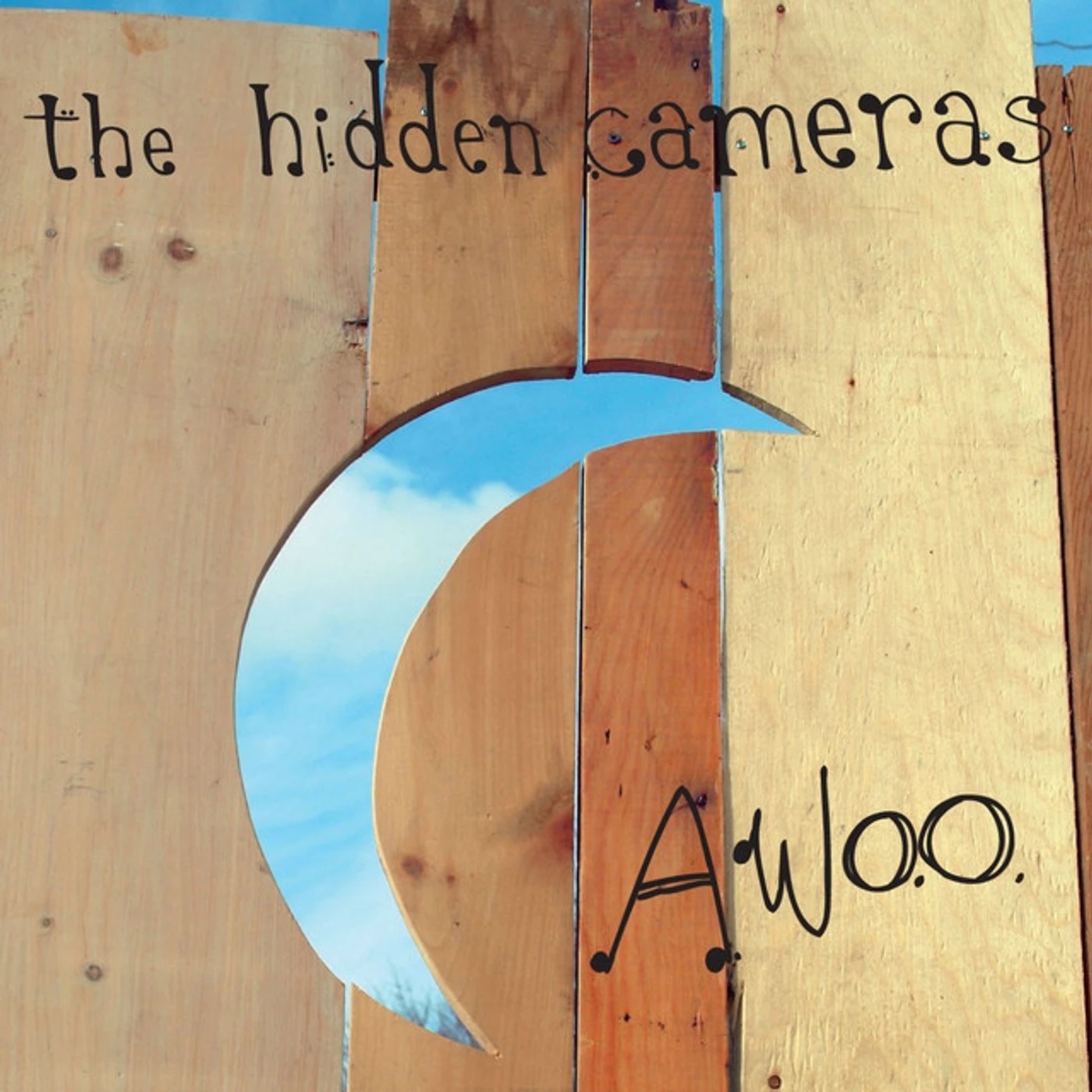 The Hidden Cameras AWOO CD