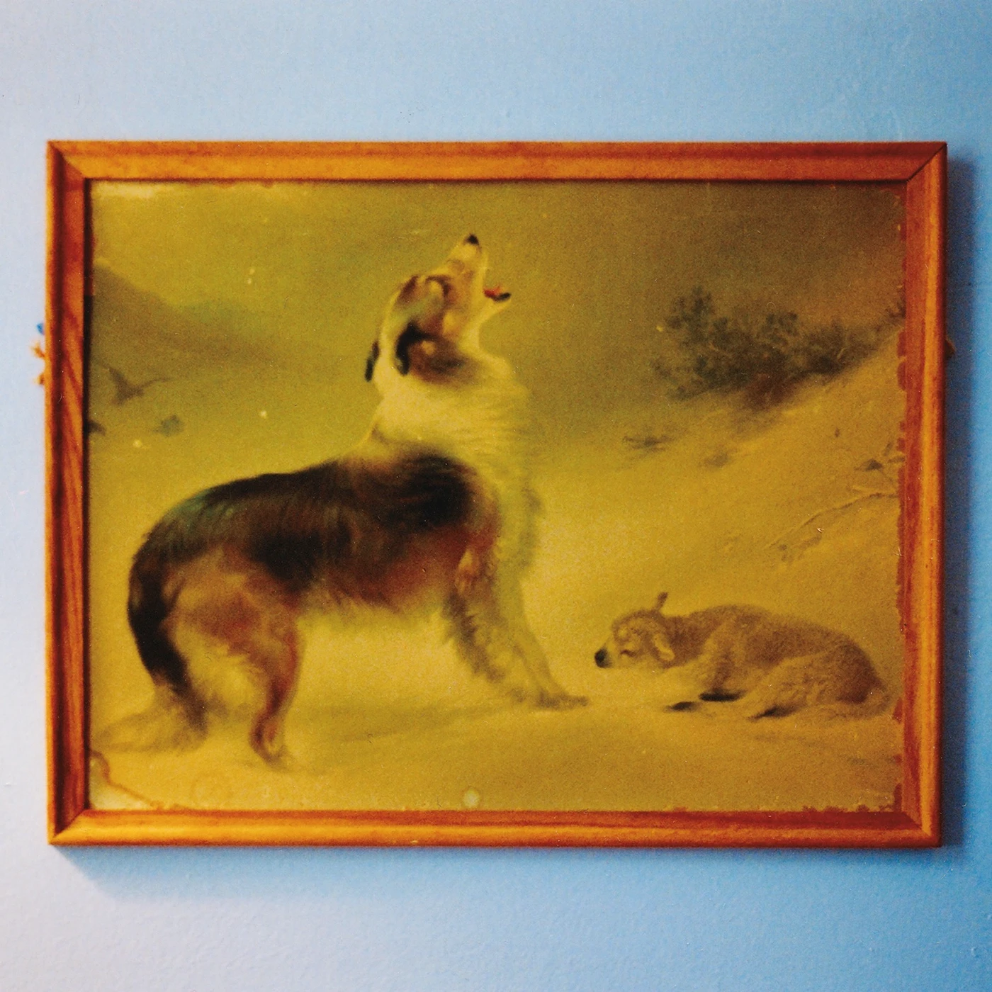Explosions In The Sky THE RESCUE Vinyl Record