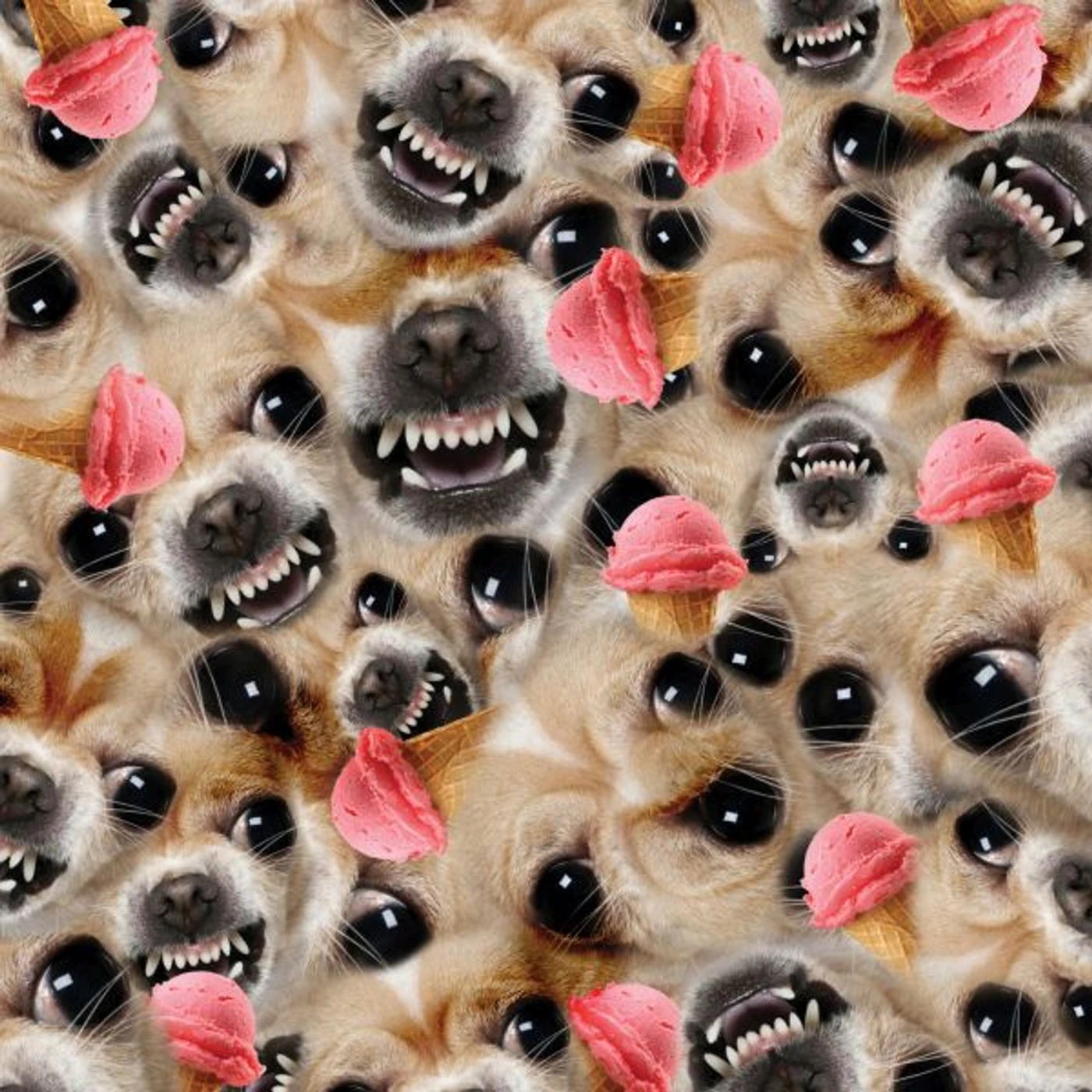 Paulor SPACESHIP Vinyl Record