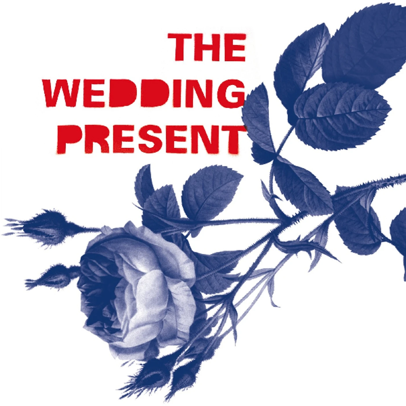 The Wedding Present Tommy 30 Vinyl Record