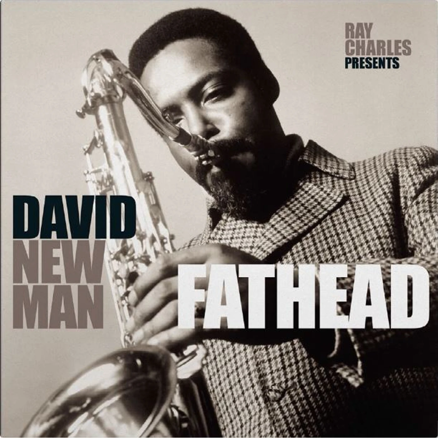 FATHEAD (RAY CHARLES PRESENTS DAVID NEWMAN) Vinyl Record