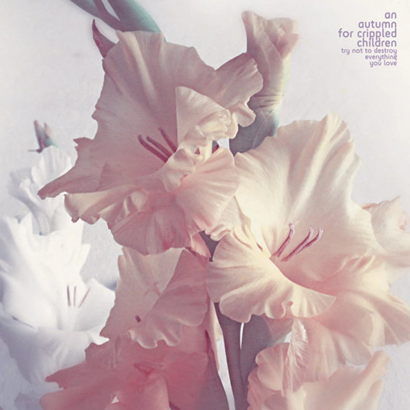 An Autumn for Crippled Children Try Not to Destroy Everything you Love Vinyl Record