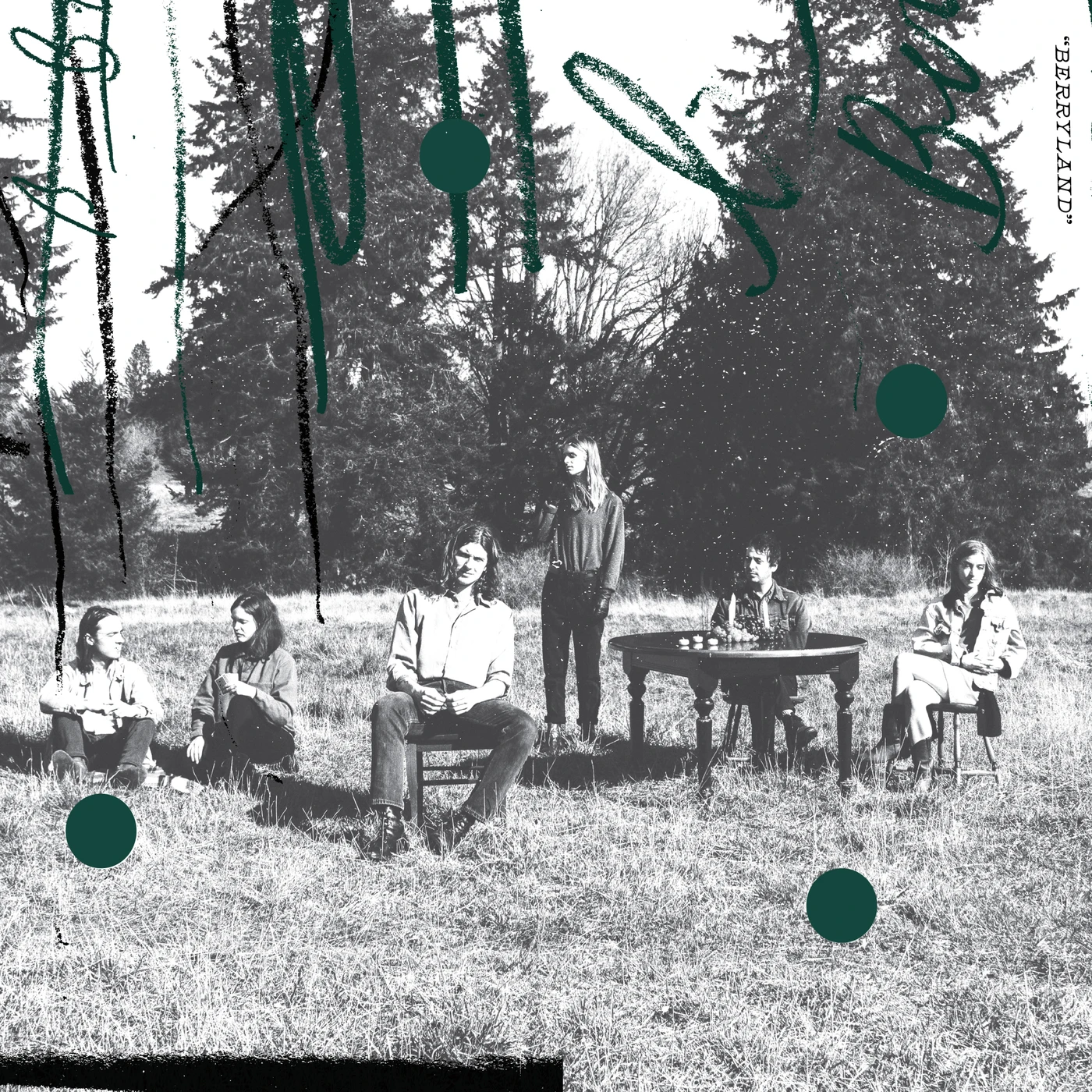 The Berries Berryland Vinyl Record