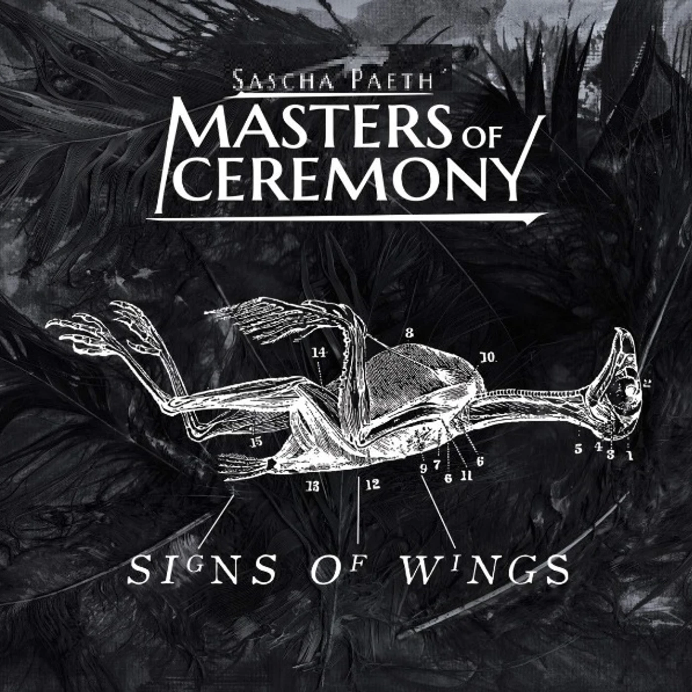 Sascha Paeth's Masters Of Ceremony Signs of Wings Vinyl Record