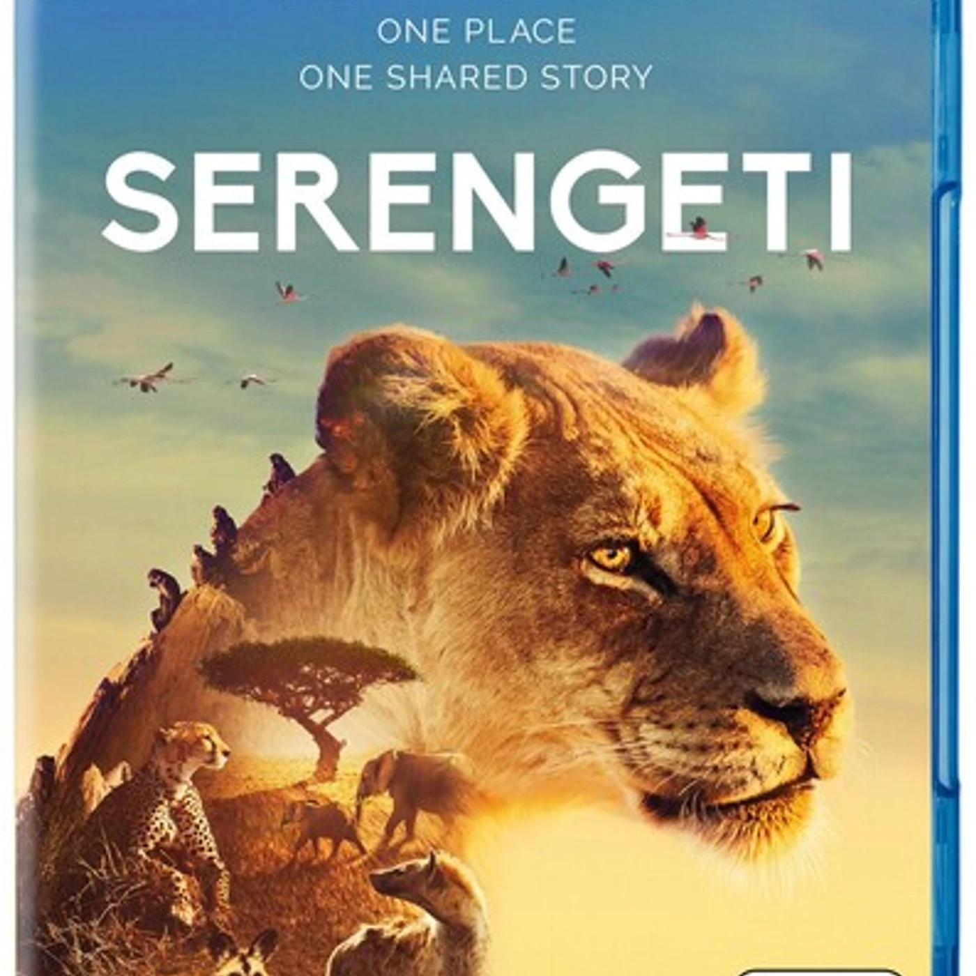 SERENGETI Blu-ray