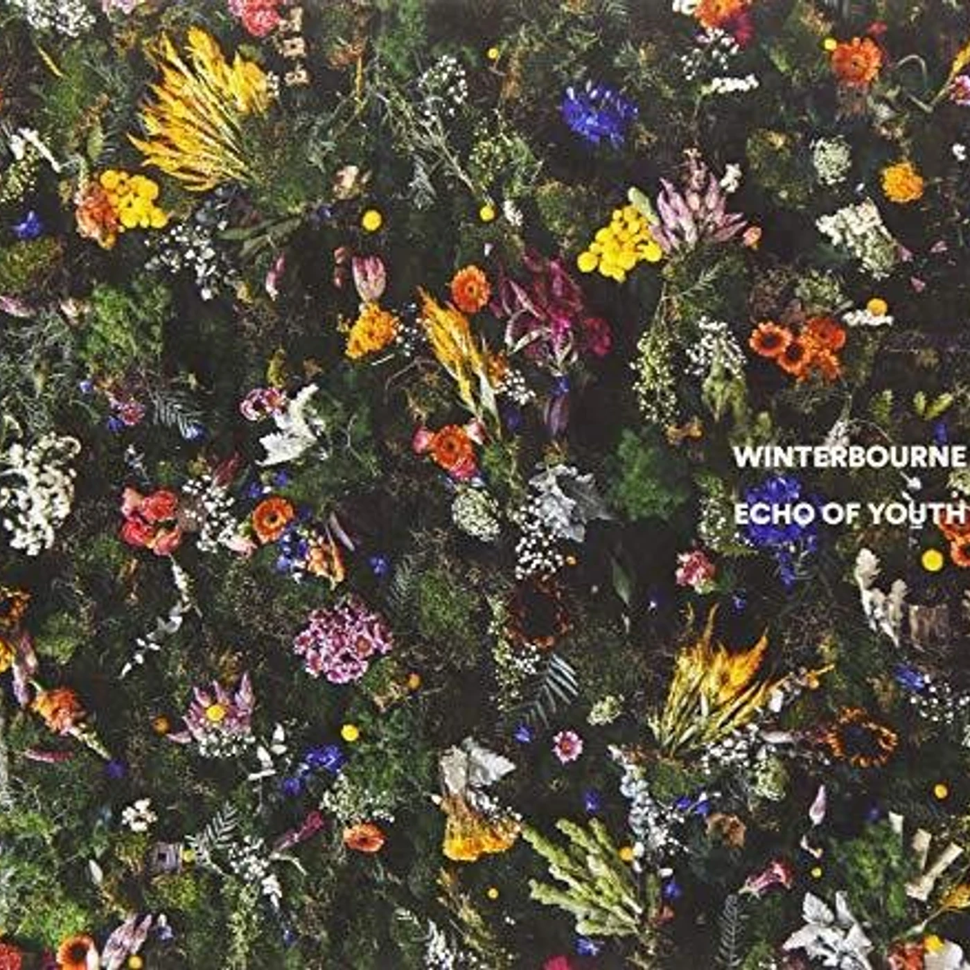Winterbourne ECHO OF YOUTH CD