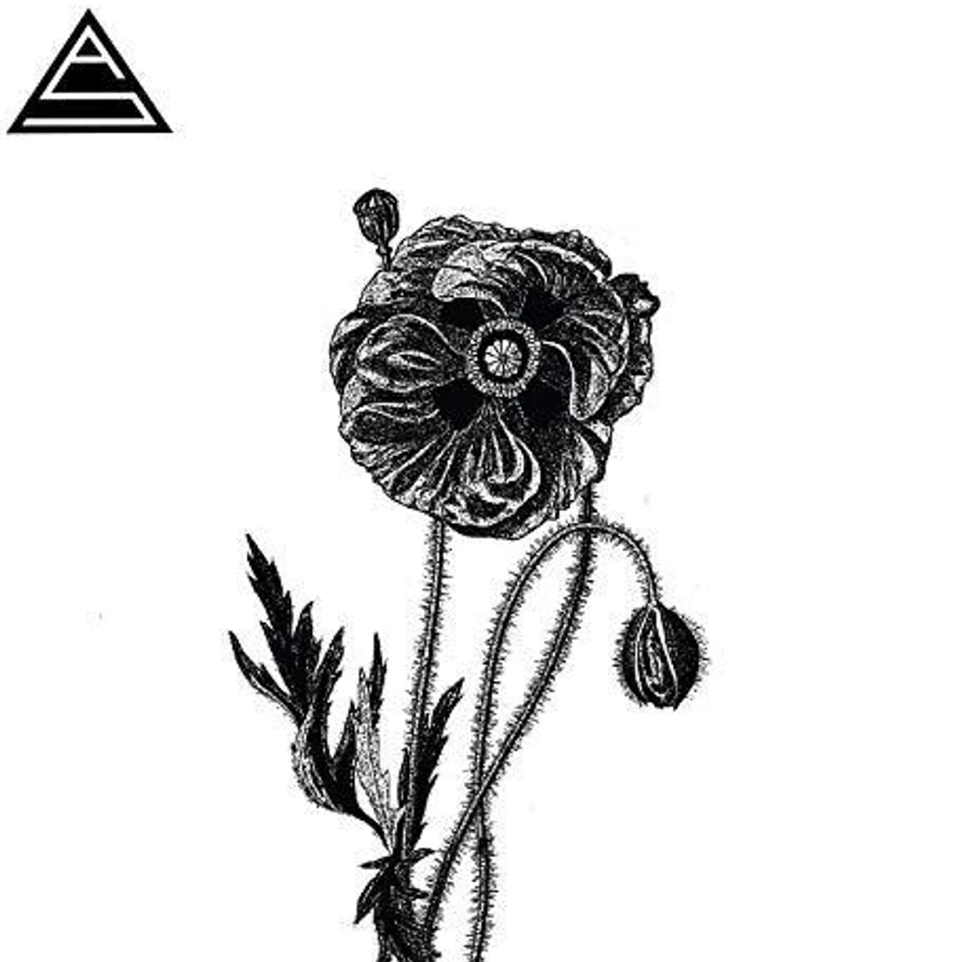 Ancient Shapes FLOWER THAT WOULDN'T BLOOM Vinyl Record