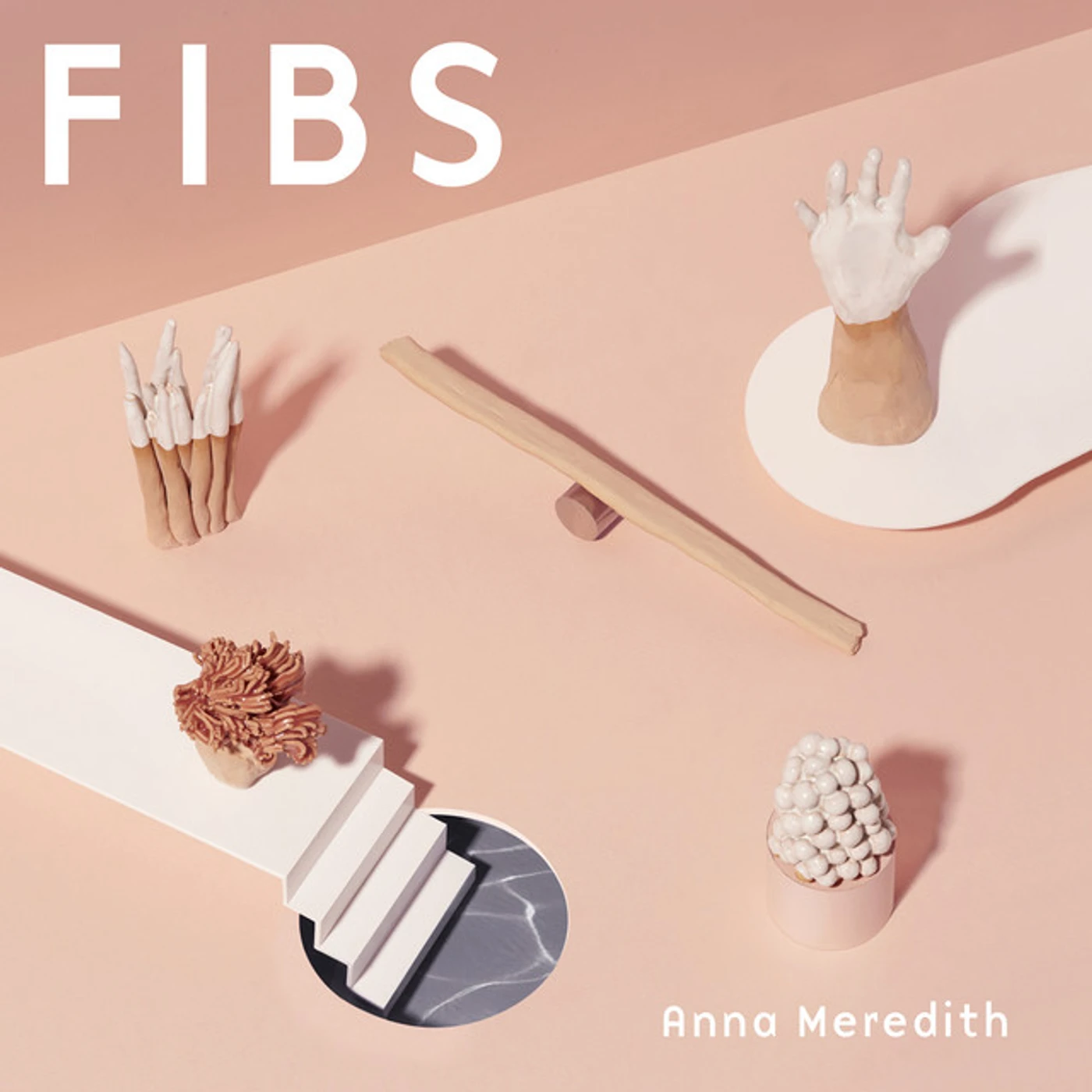 Anna Meredith FIBS CD
