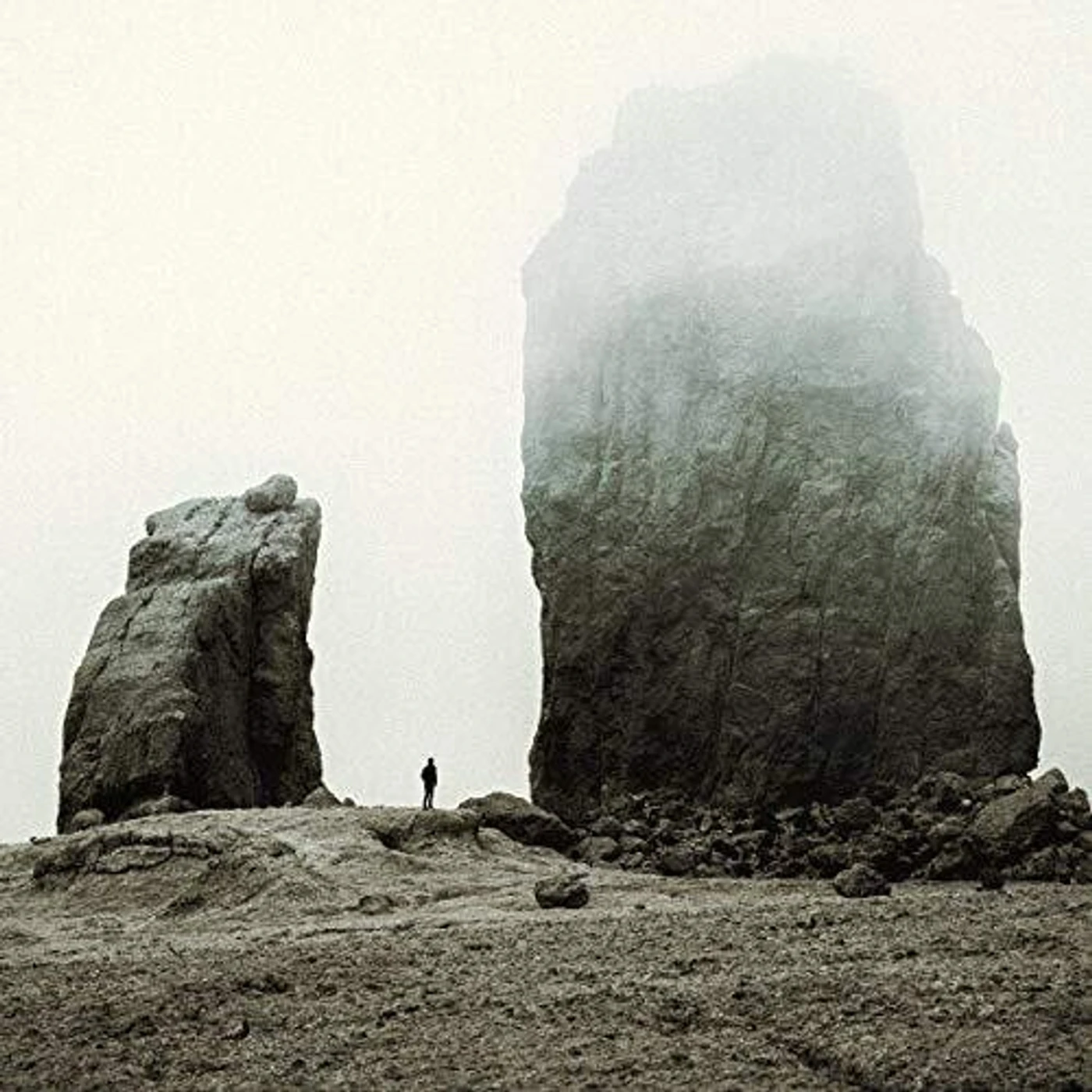 Fejká Reunion Vinyl Record