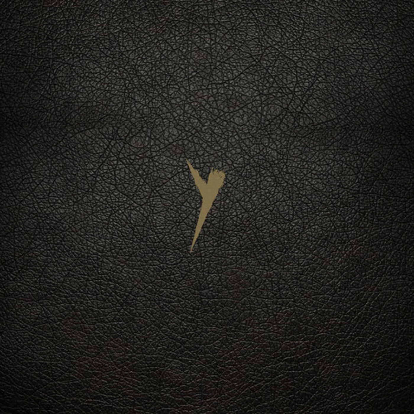 The Pop Group Y (Definitive Edition) Vinyl Record