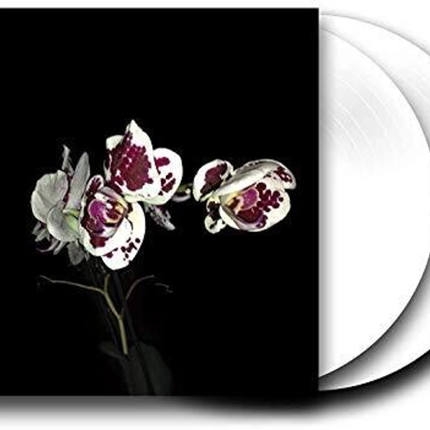 Afterhours Folfiri o Folfox Vinyl Record