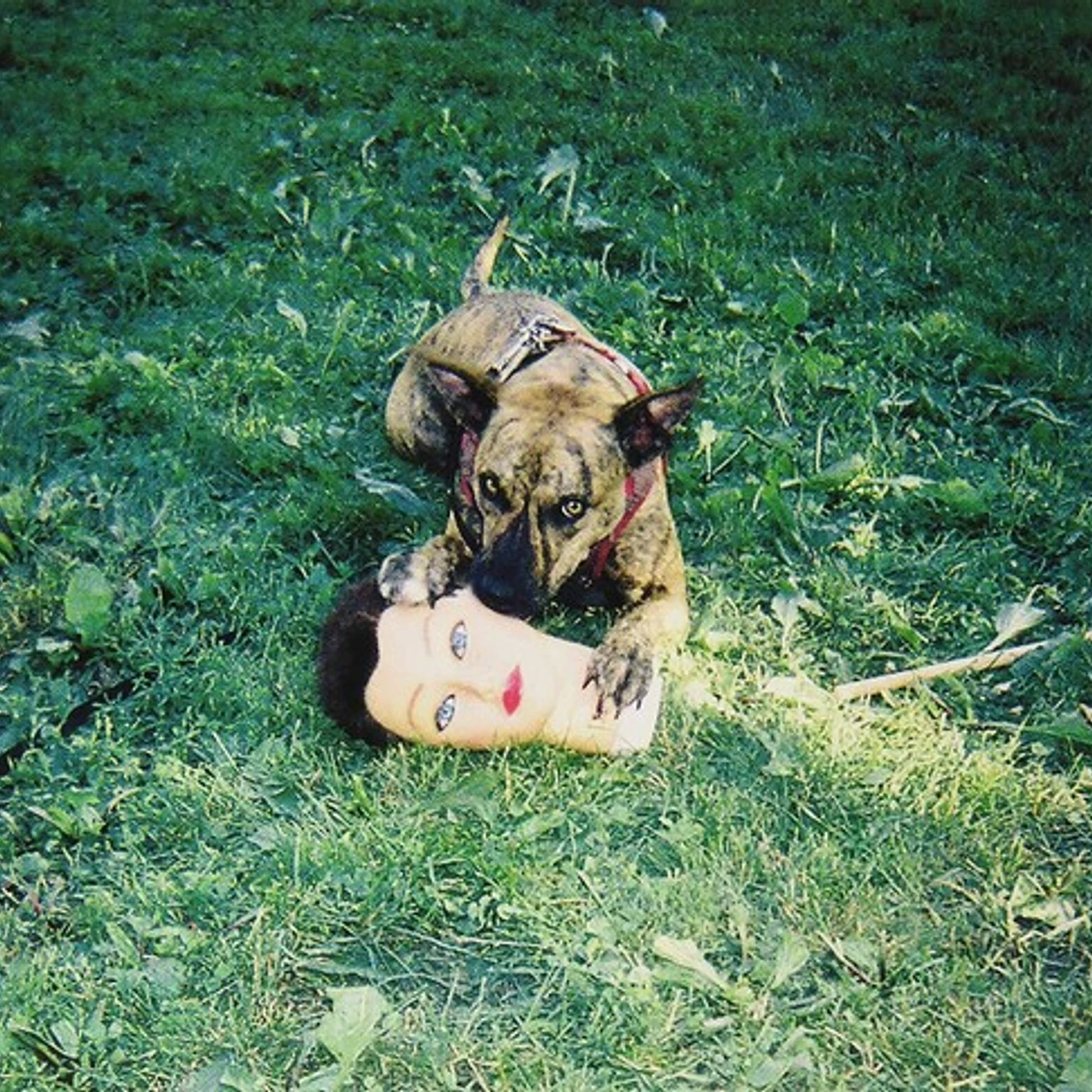 Joyce Manor Cody Vinyl Record