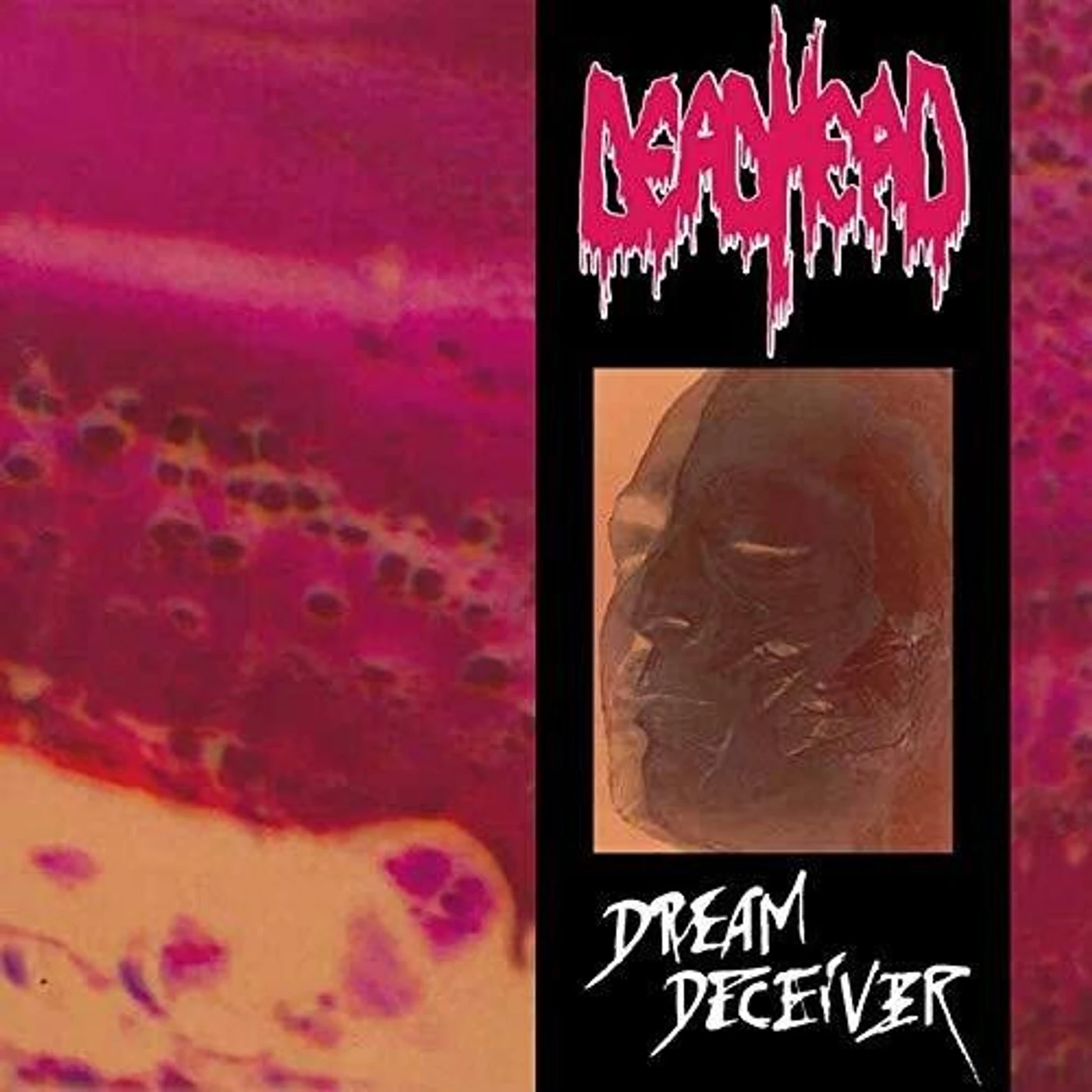 Dead Head DREAM DECEIVER CD