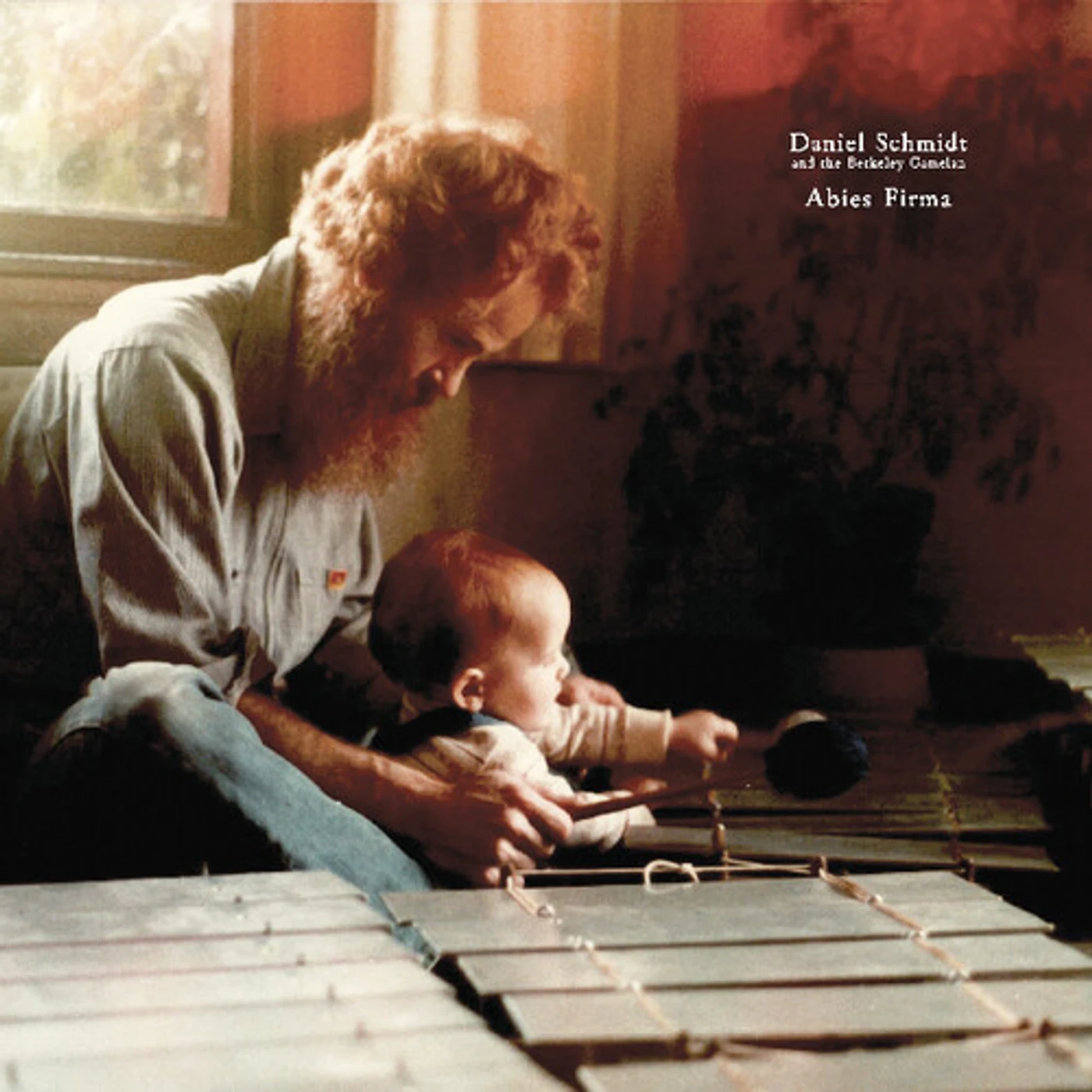 Daniel Schmidt Abies Firma Vinyl Record