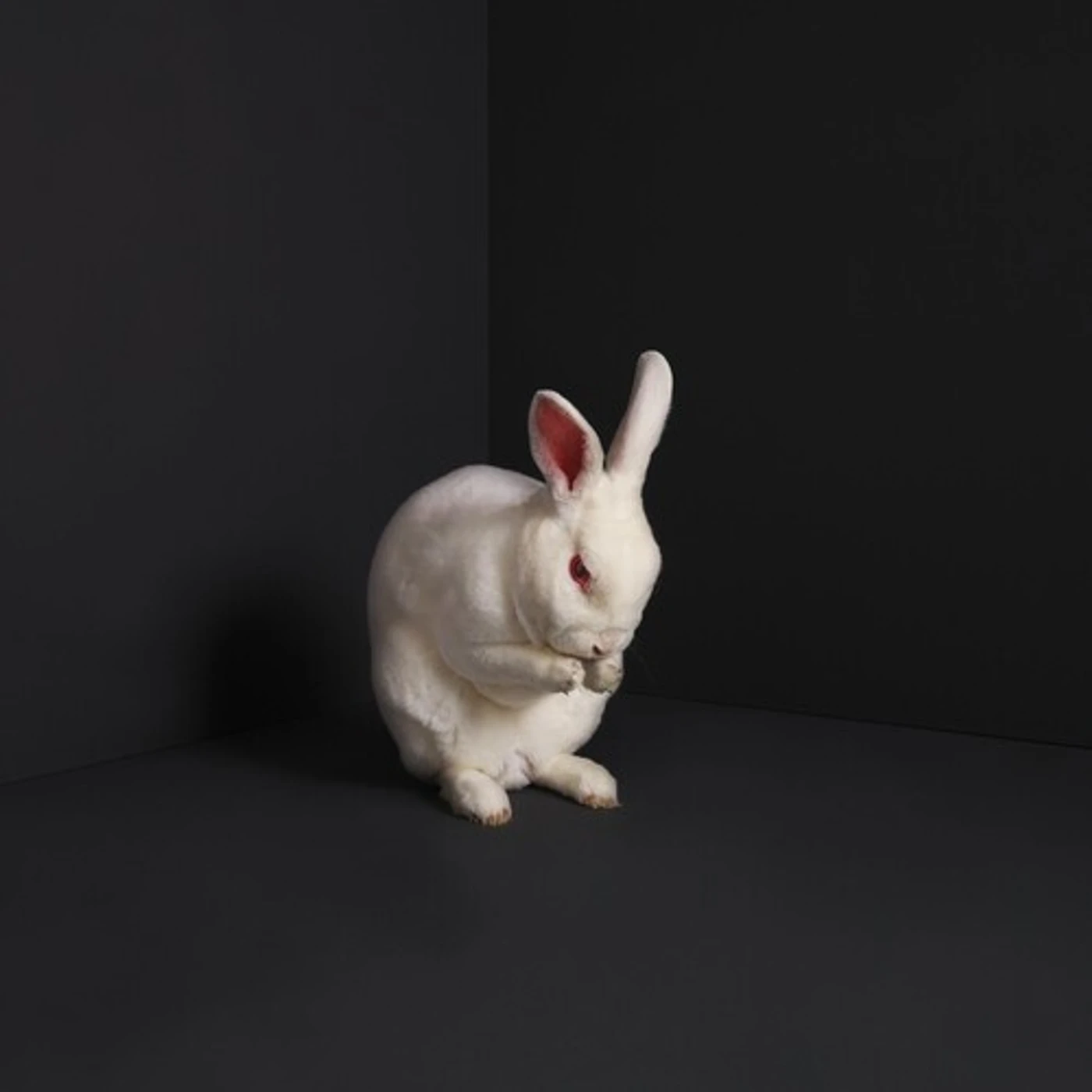 Brume Rabbits Vinyl Record