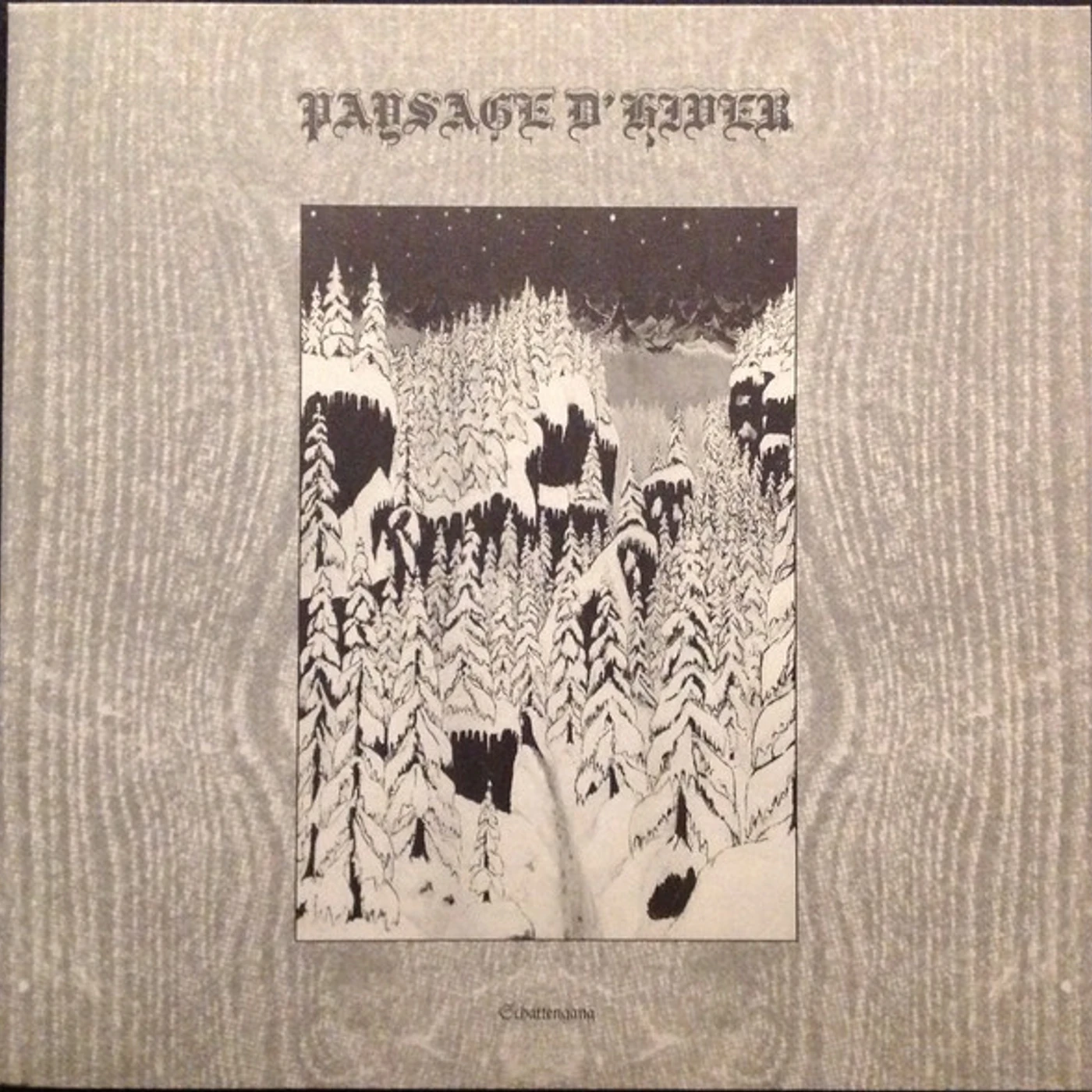 Paysage d'hiver Vinyl Record