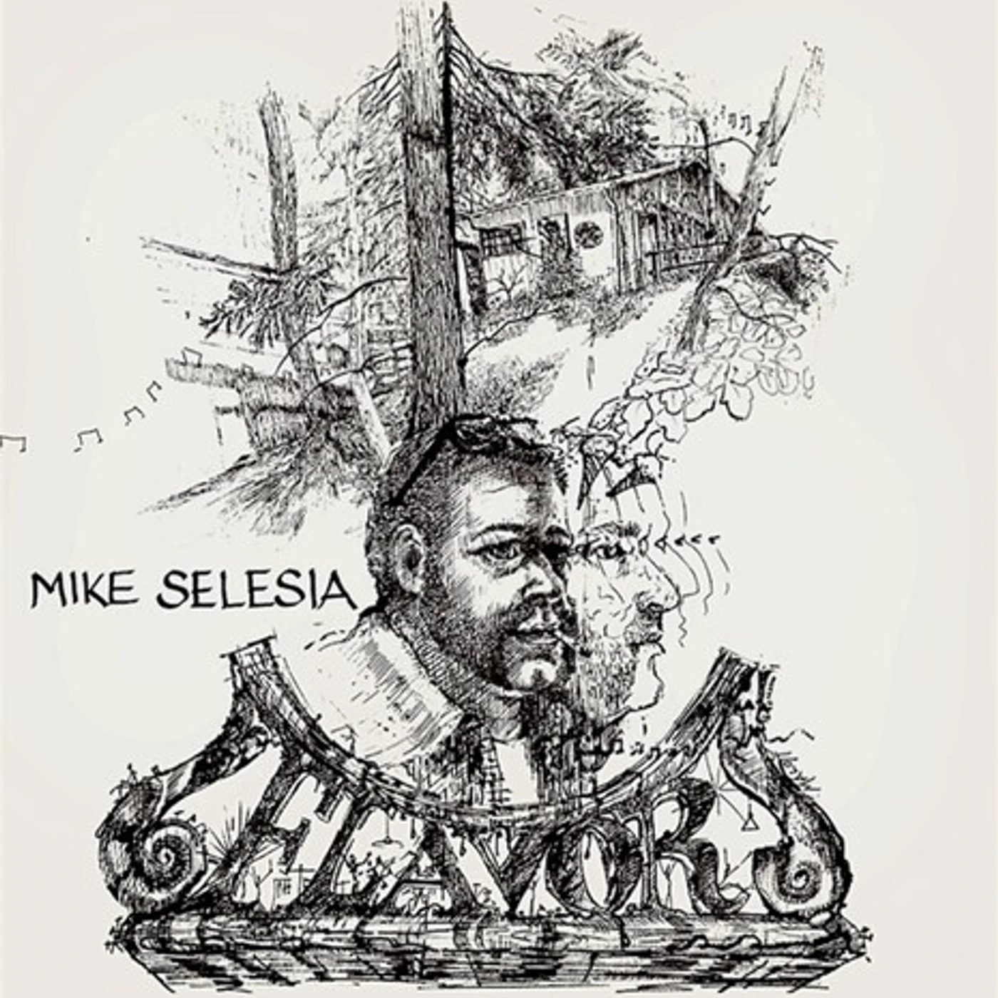 Mike Selesia Flavor Vinyl Record
