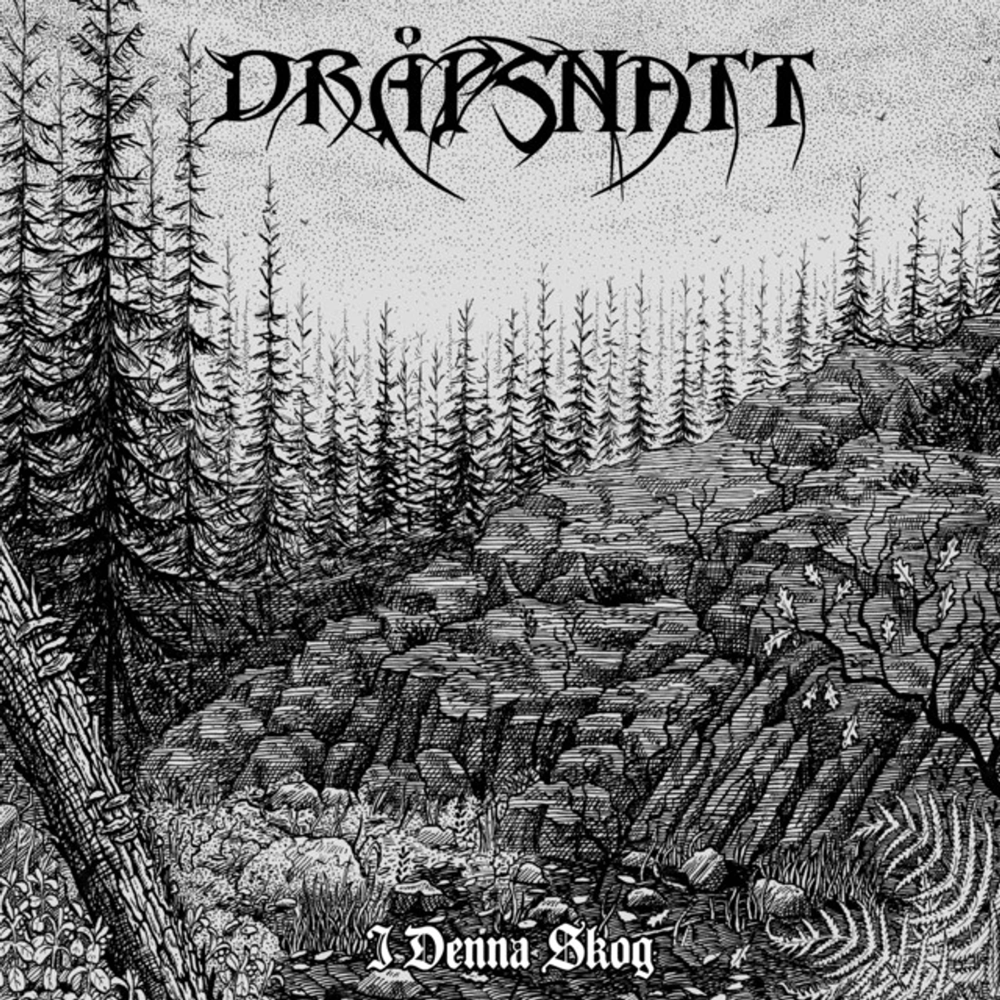 Dråpsnatt I DENNA SKOG CD