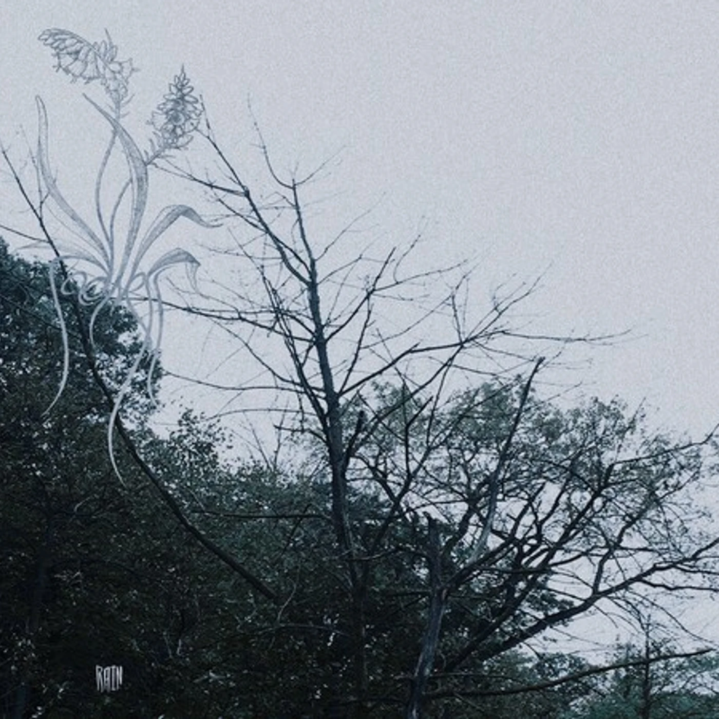 Sadness RAIN CD