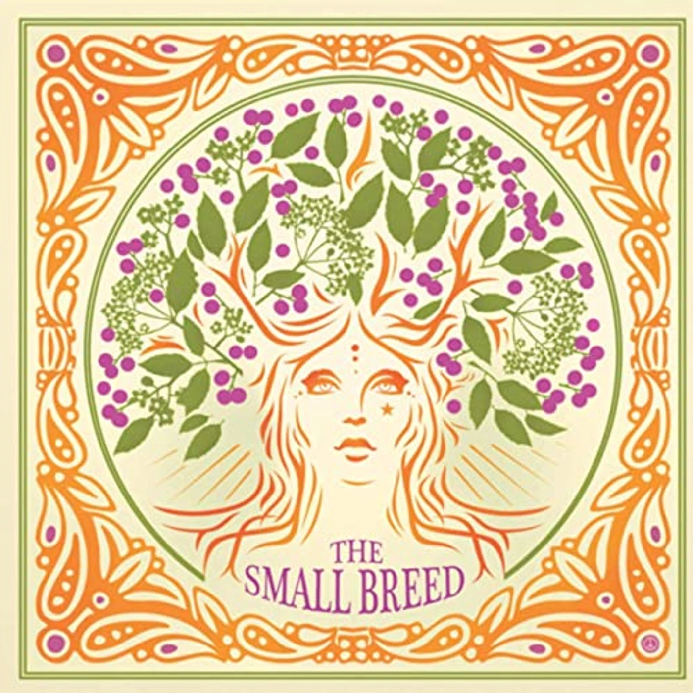 The Small Breed AN ELDERFLOWER PARLIAMENT Vinyl Record