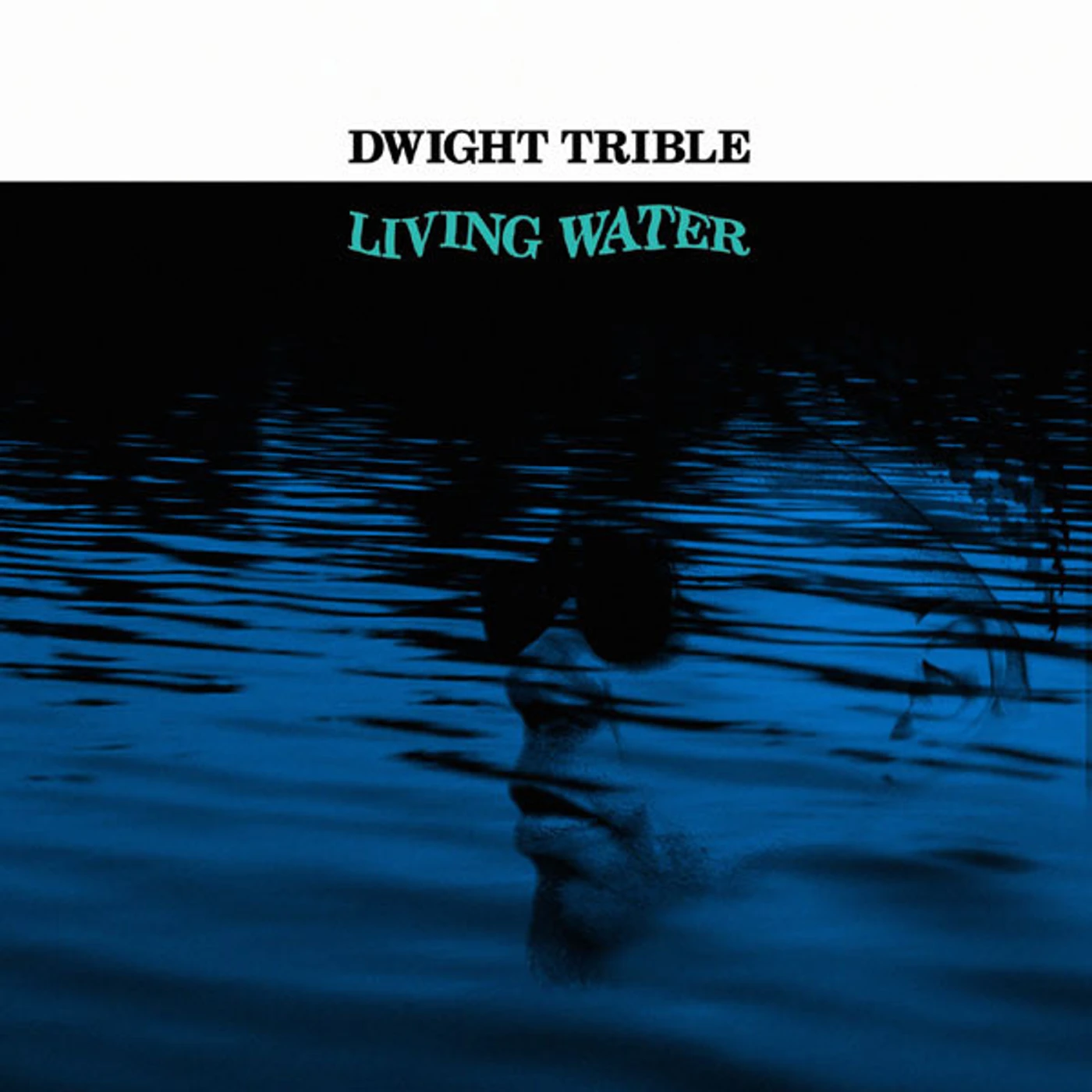 Dwight Trible LIVING WATER CD