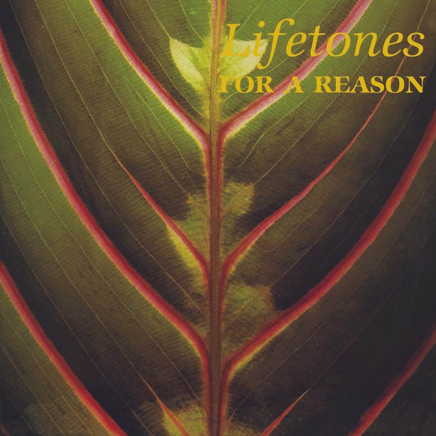Lifetones FOR A REASON CD