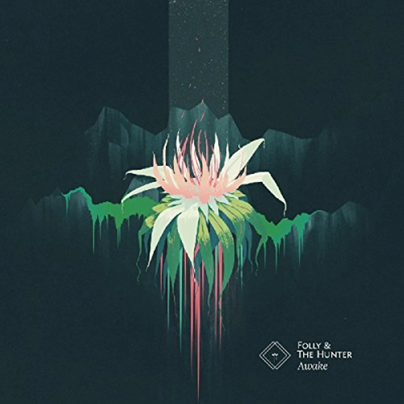Folly and the Hunter Awake Vinyl Record