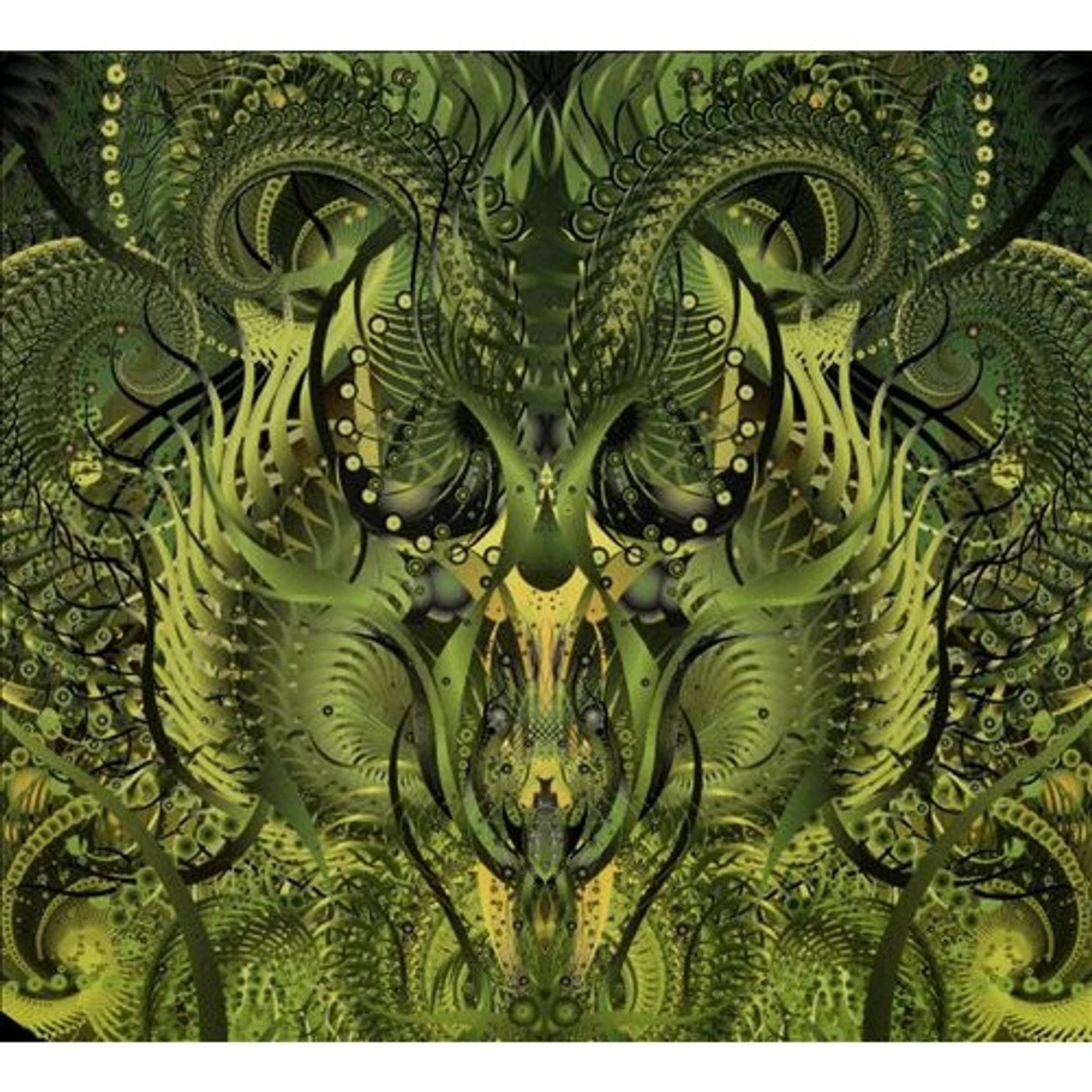 Blind Idiot God BEFORE EVER AFTER CD
