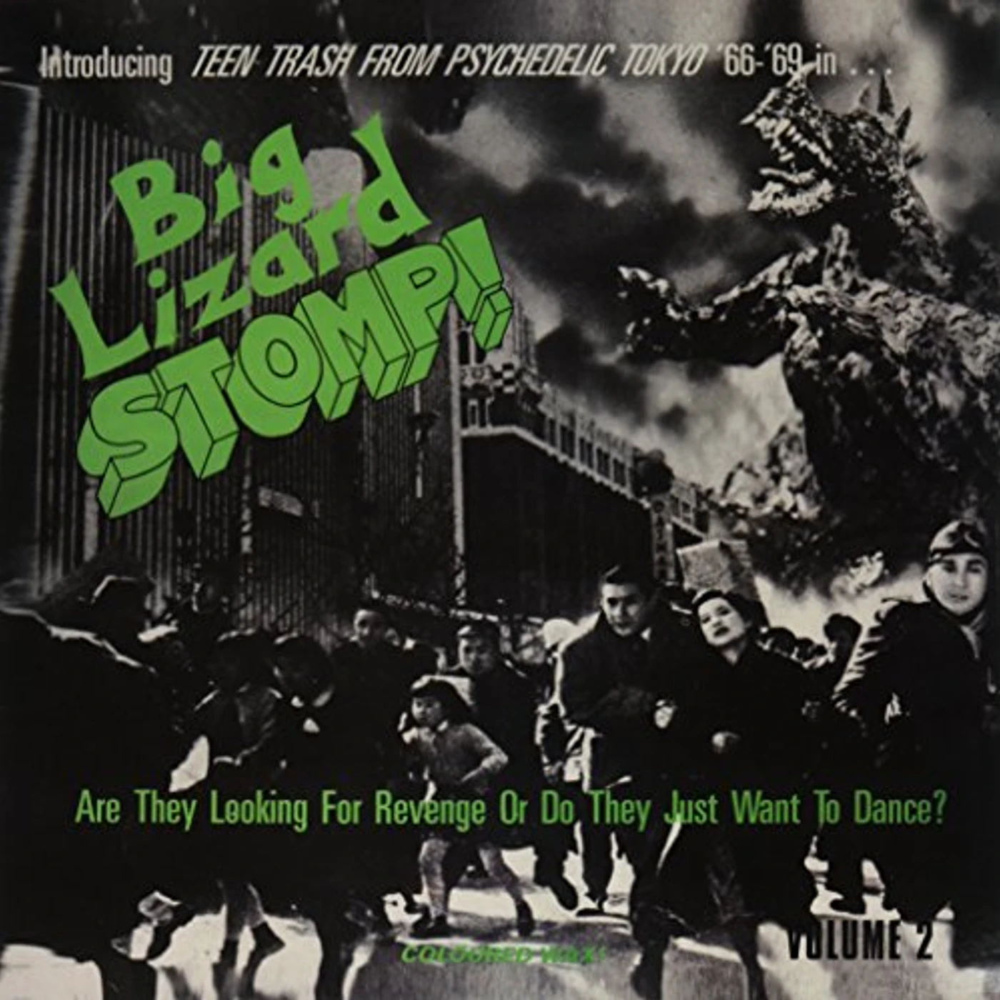 BIG LIZARD STOMP 2: TEEN TRASH PSYCHEDELIC / VAR Vinyl Record