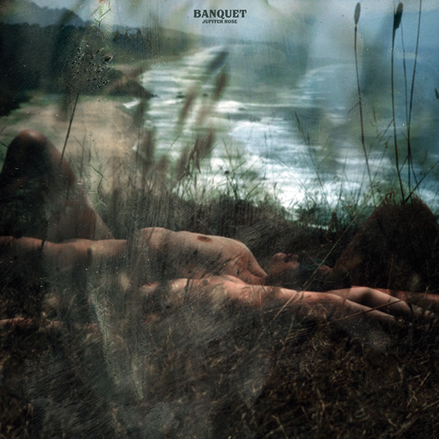 Banquet Jupiter Rose Vinyl Record