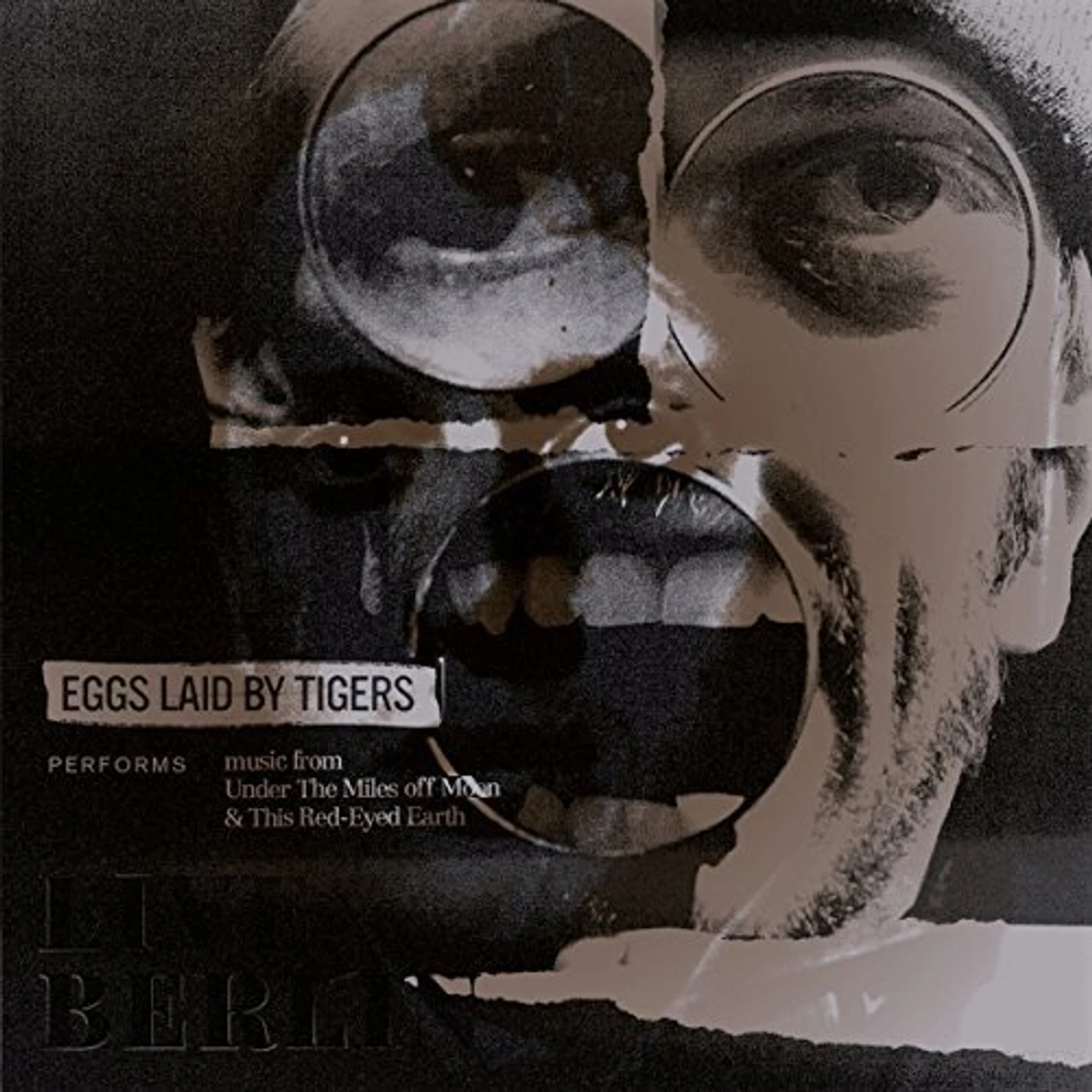 Eggs Laid By Tigers LIVE IN BERLIN CD