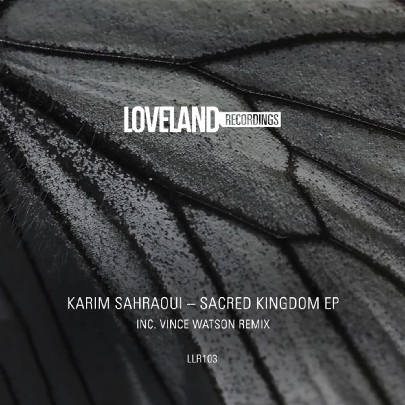 Karim Sahraoui SACRED KINGDOM Vinyl Record