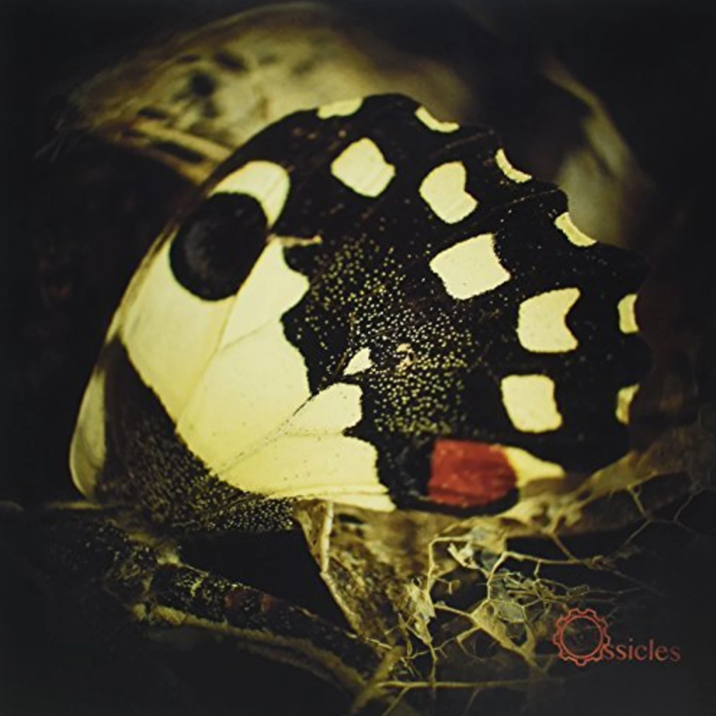 Ossicles MUSIC FOR WASTELANDS Vinyl Record