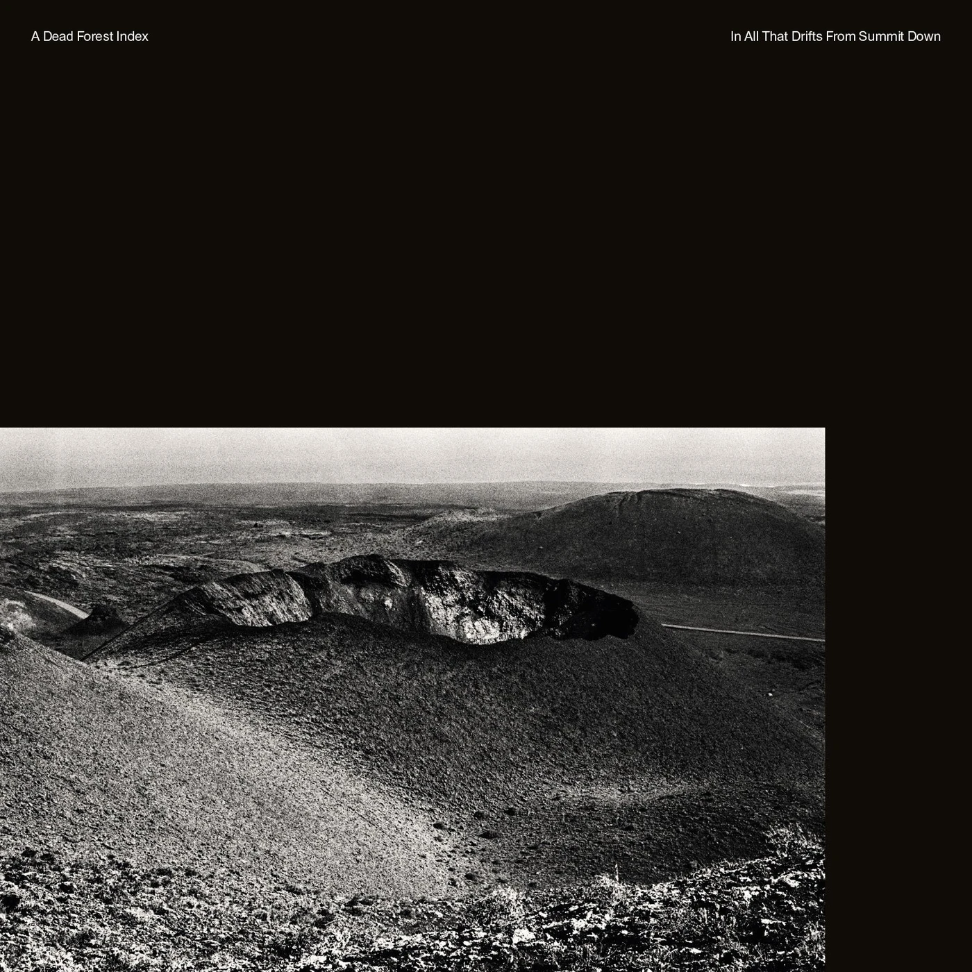 A Dead Forest Index In All That Drifts from Summit Down Vinyl Record