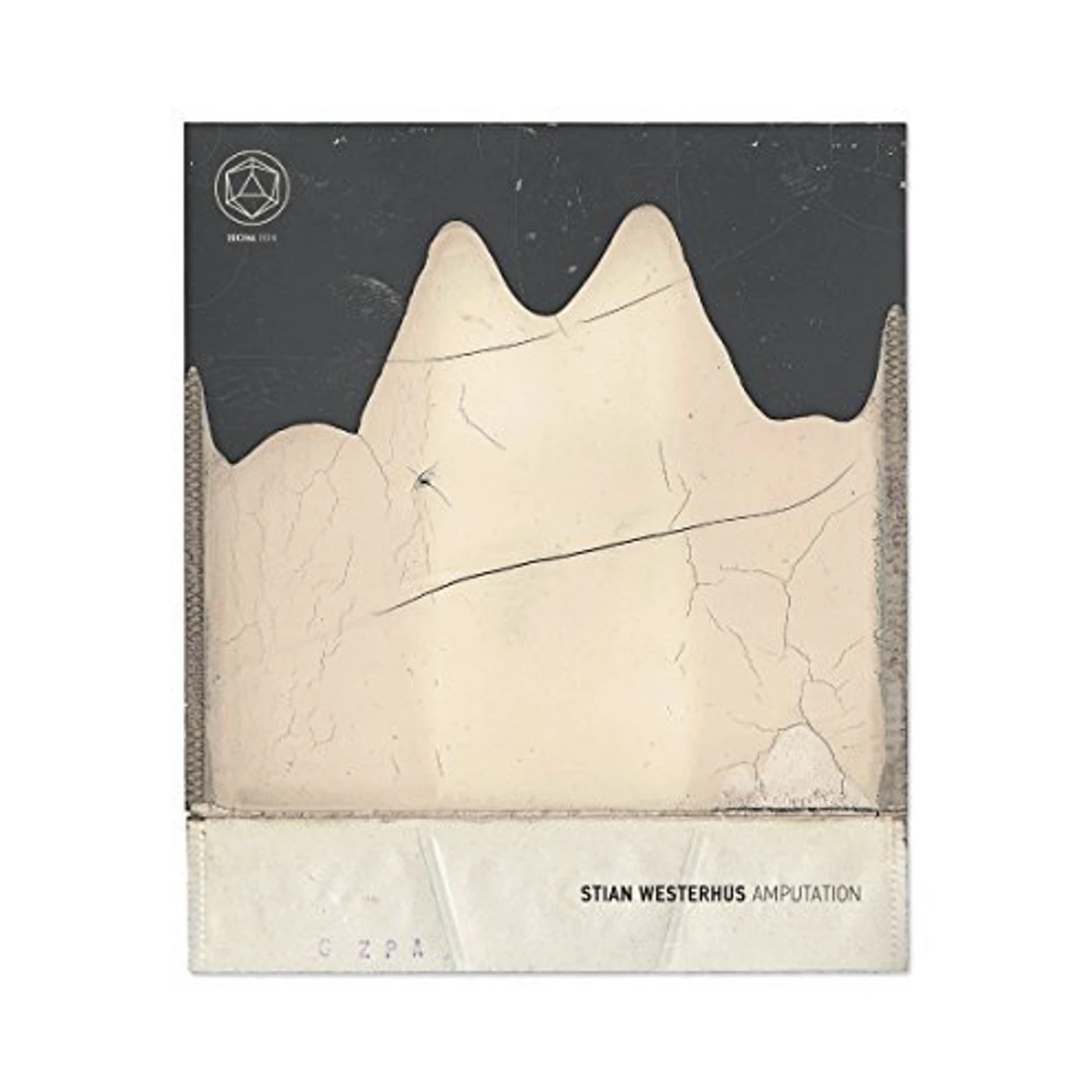Stian Westerhus Amputation Vinyl Record