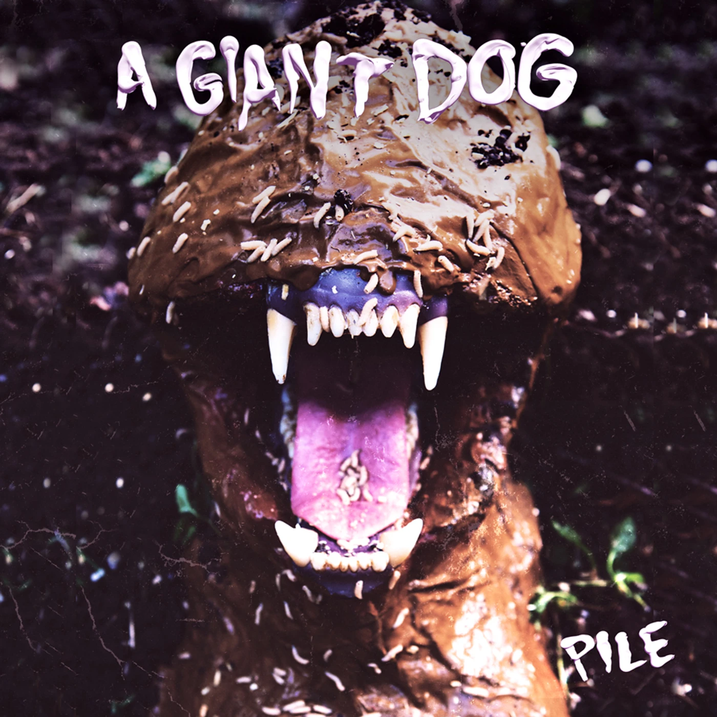 A Giant Dog PILE (DL CARD) Vinyl Record
