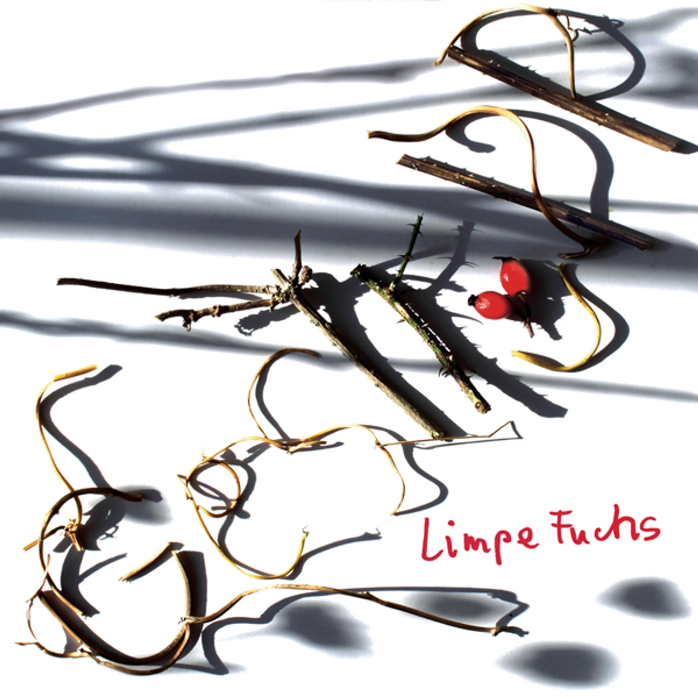 Limpe Fuchs GESTRUPP Vinyl Record