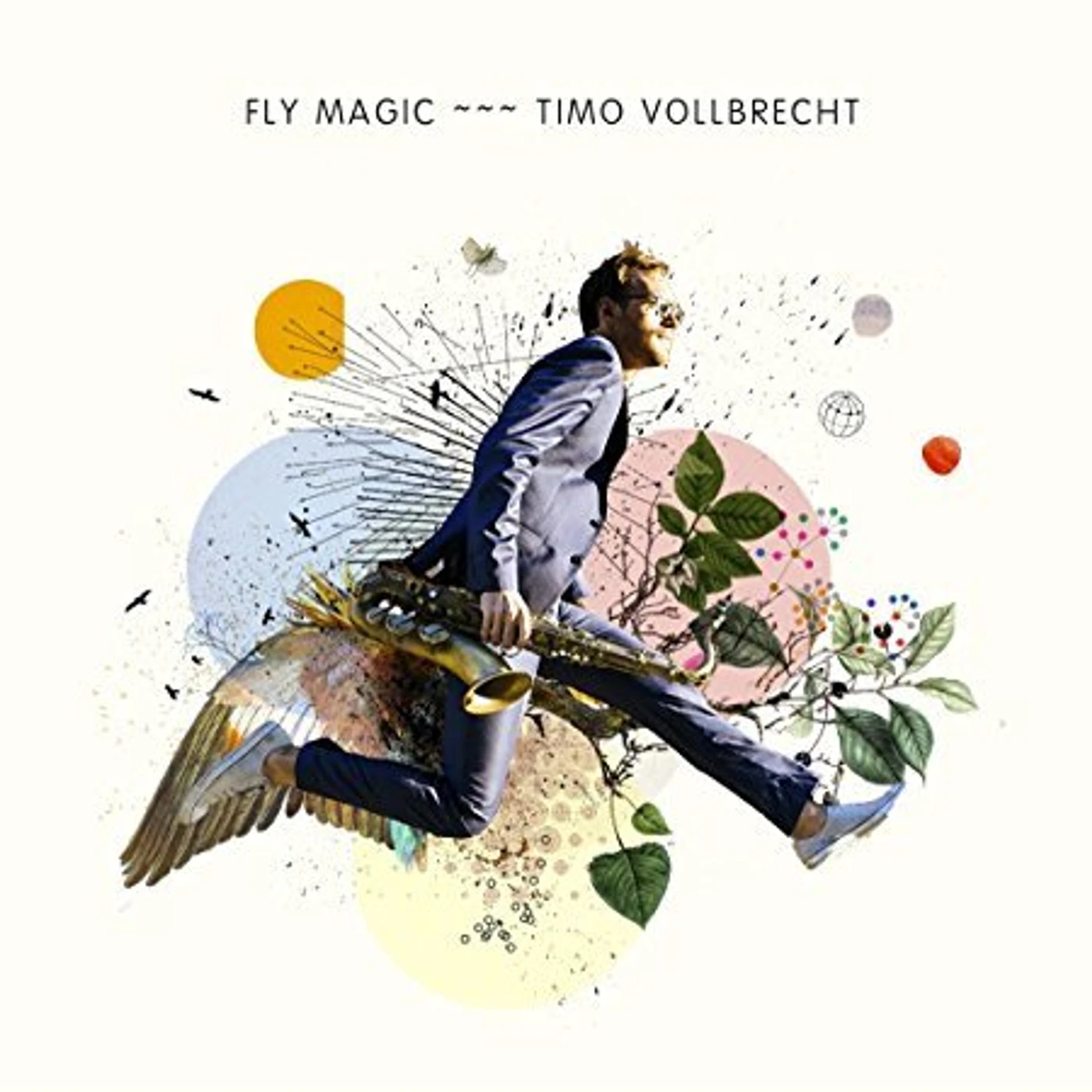 Timo Vollbrecht FLY MAGIC CD