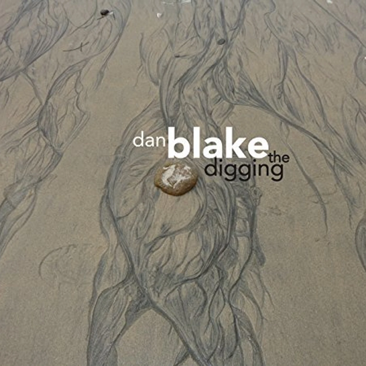 Daniel Blake DIGGING CD