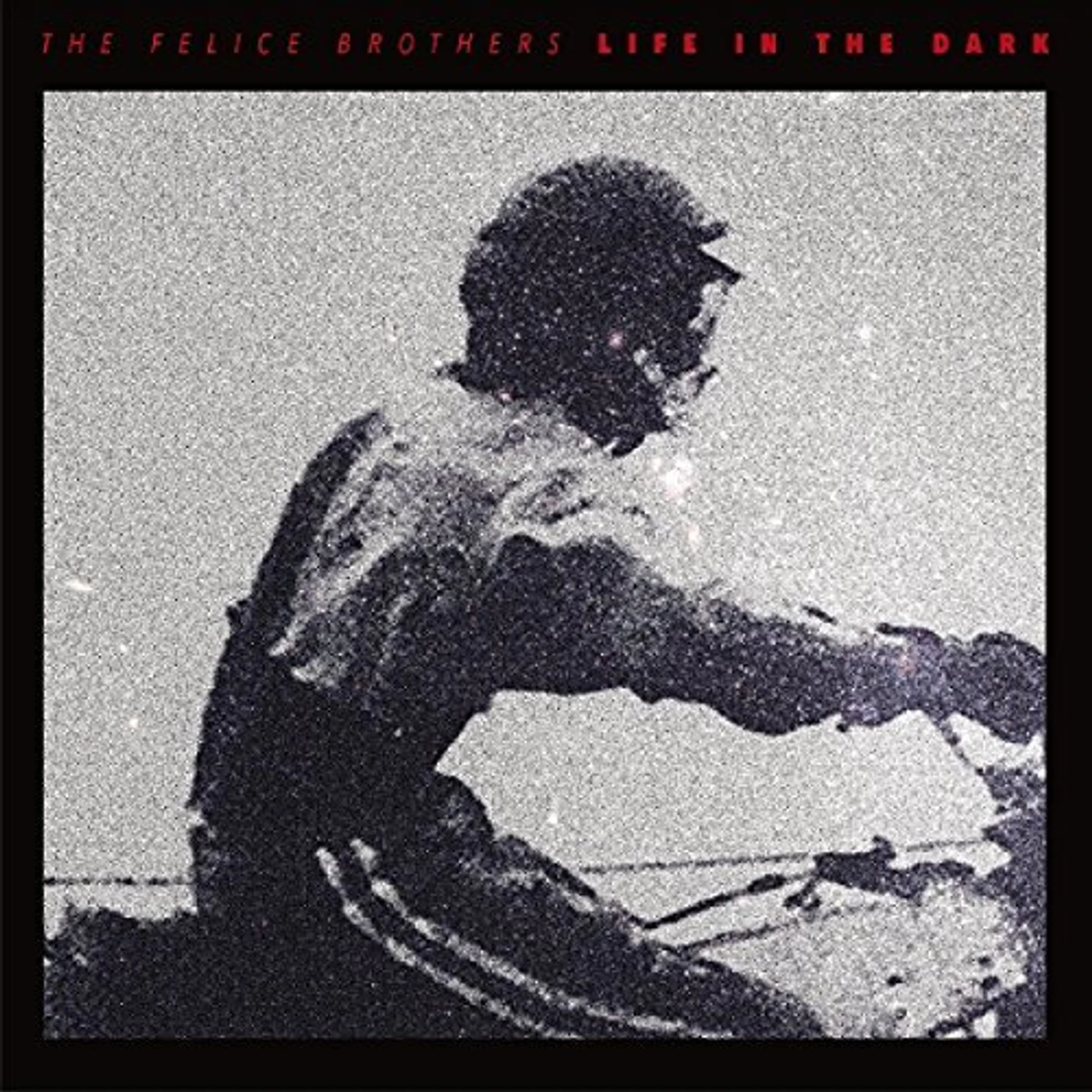 The Felice Brothers Life in the Dark Vinyl Record